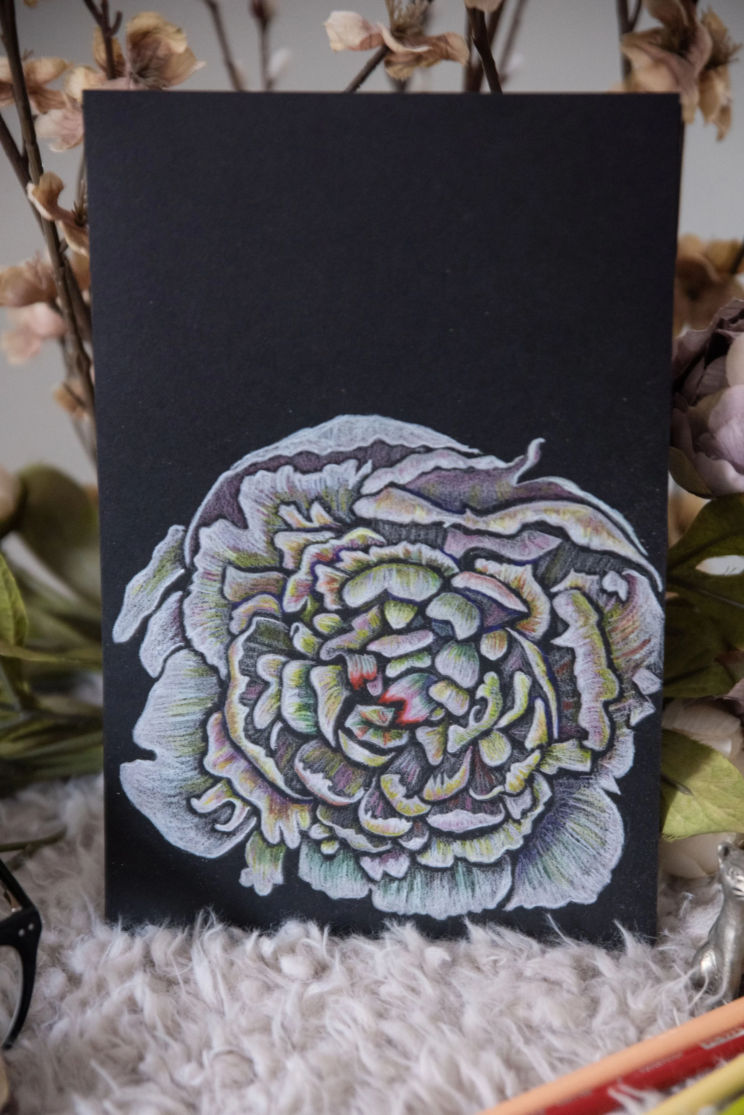 White Peony Flower Illustration