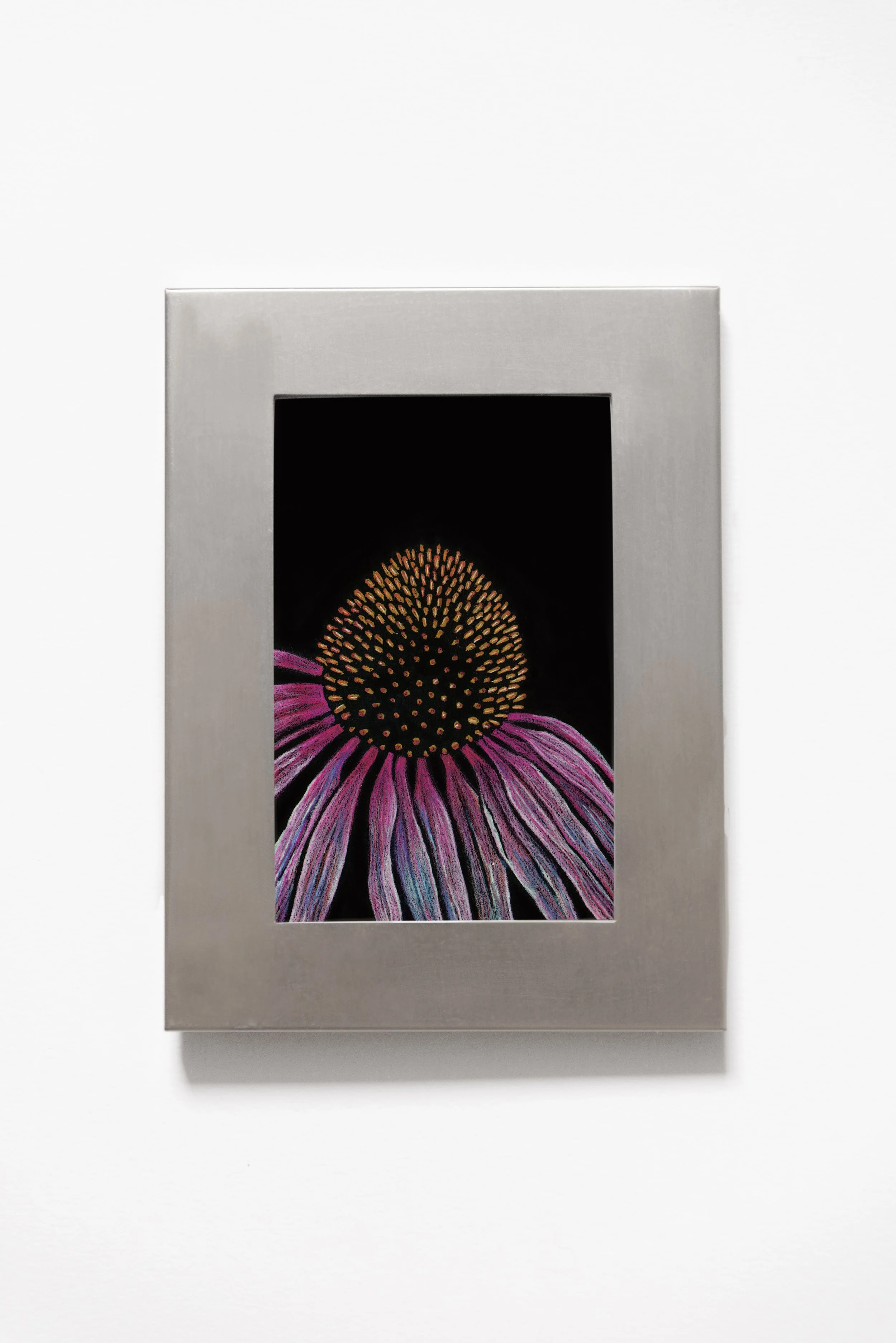ConeflowerSilverFrameBright3.jpg