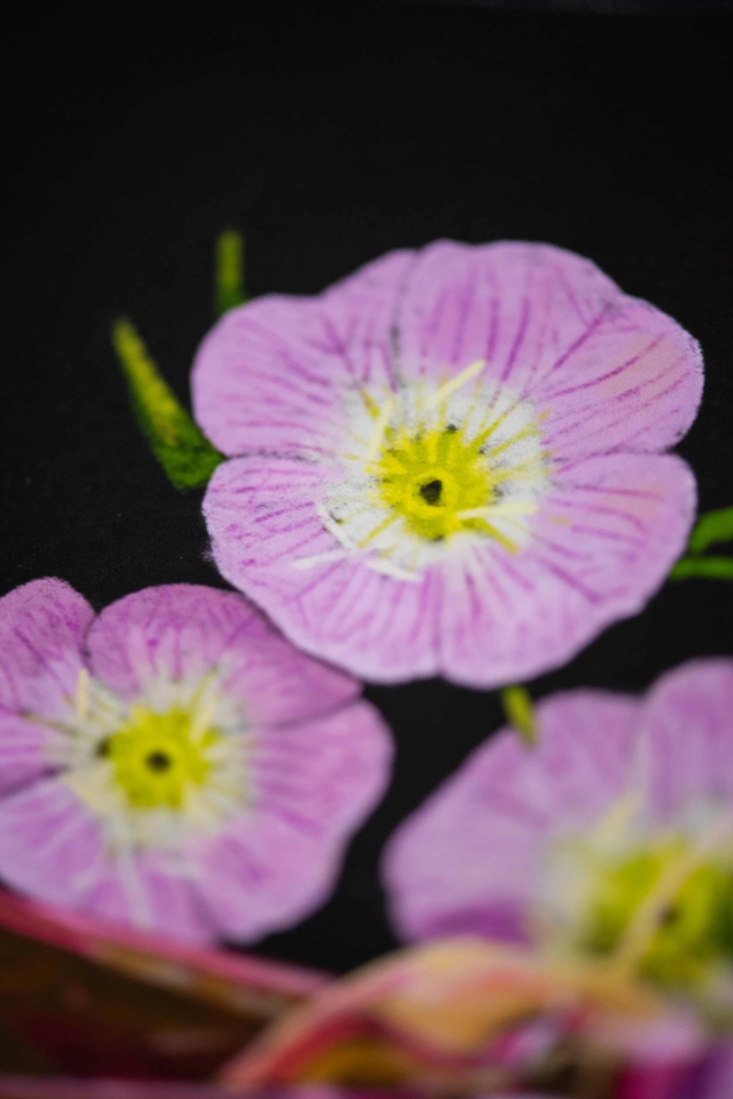 20250923SP_041.jpg