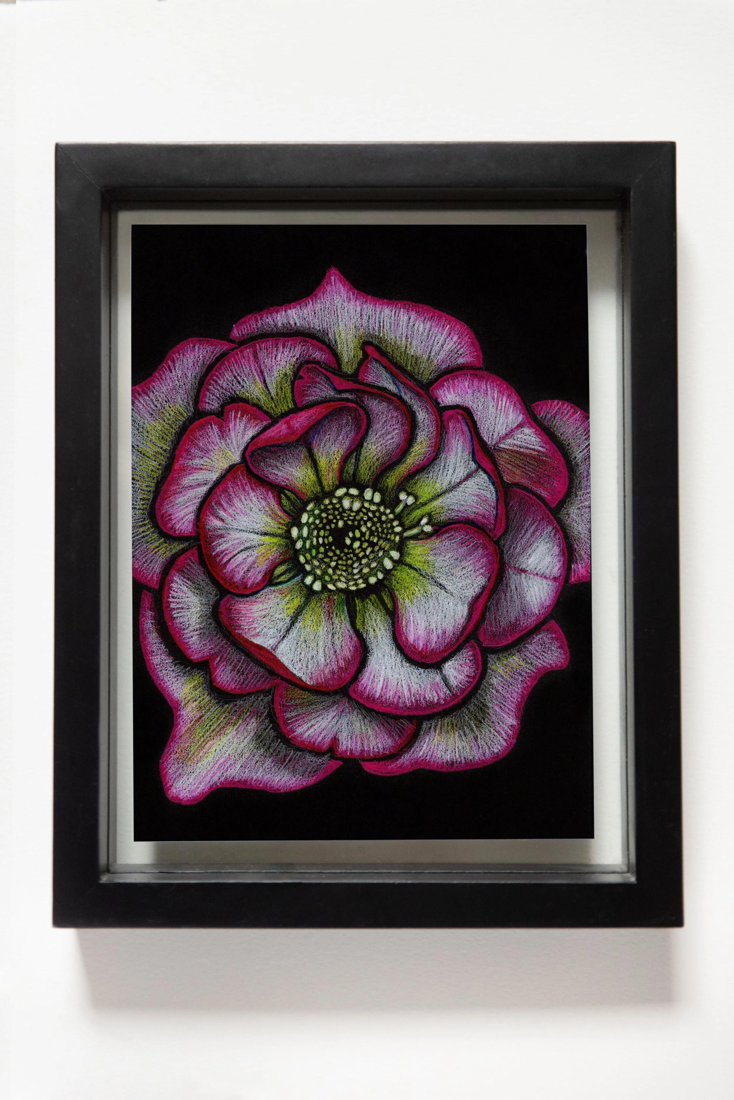 BlackFloatFrameHellebores.jpg