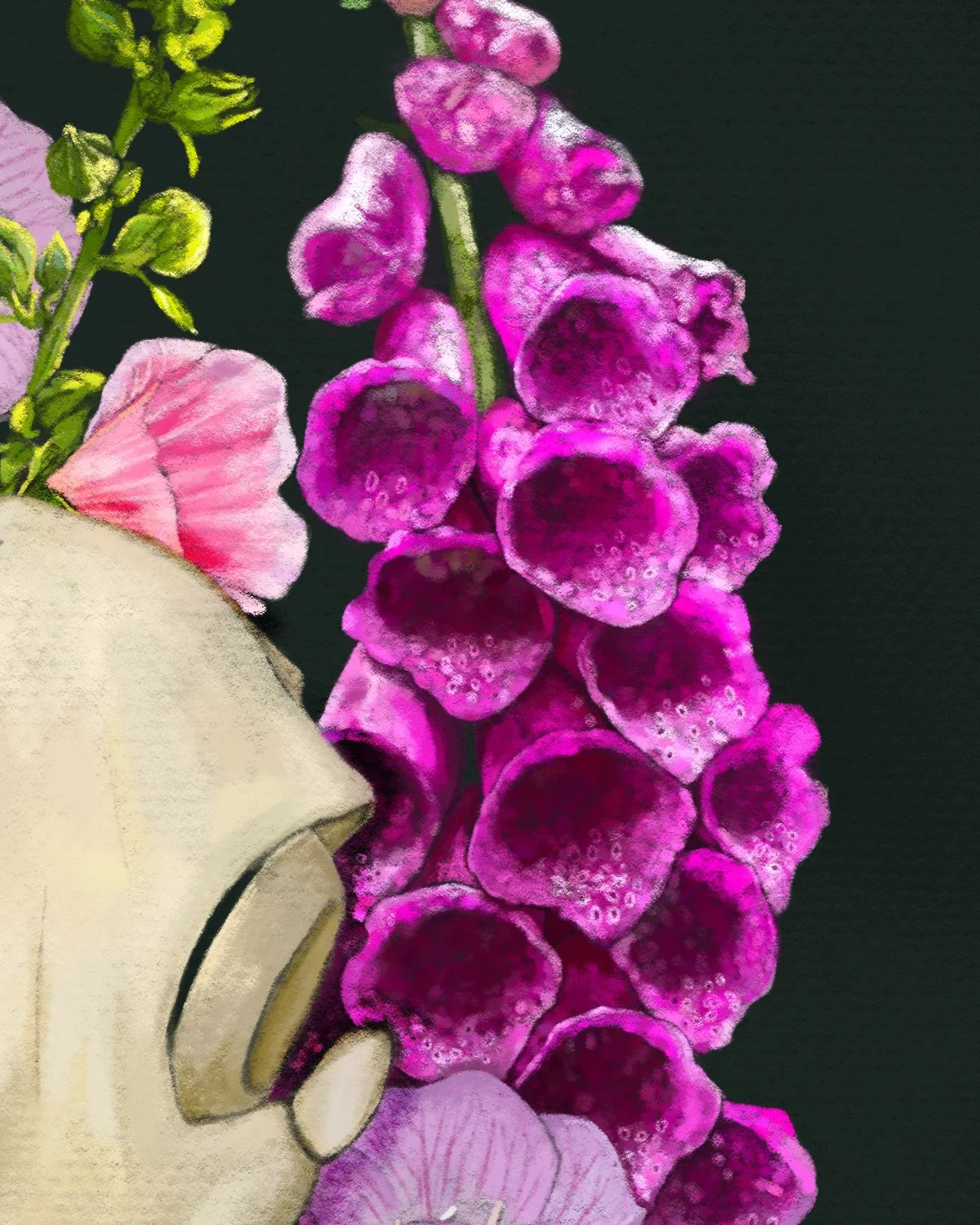 Hawk_Hawkmoth_Hollyhock_Primrose_FoxgRIG02.jpg