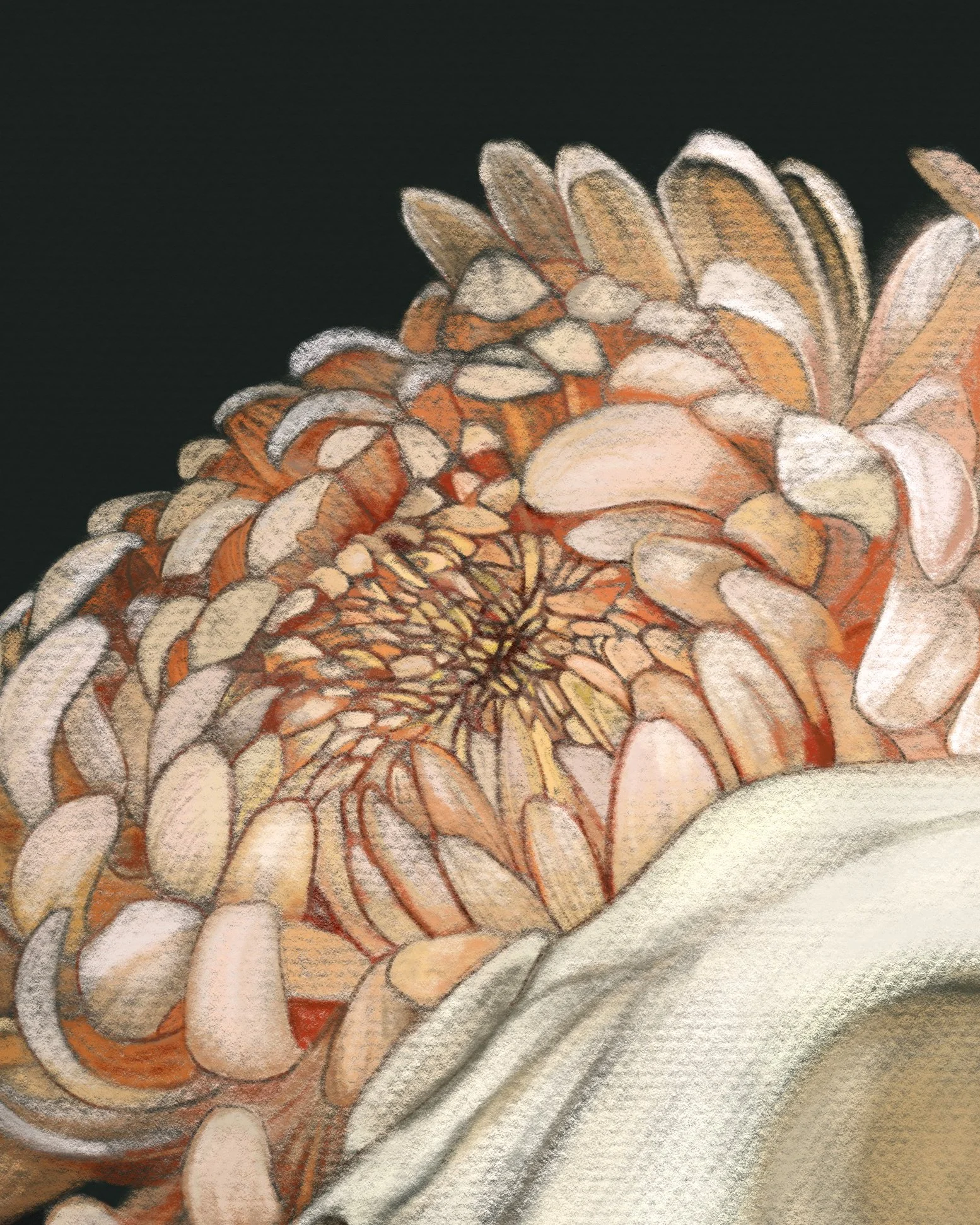 Cat_And_ChrysanthemumRIG03.jpg