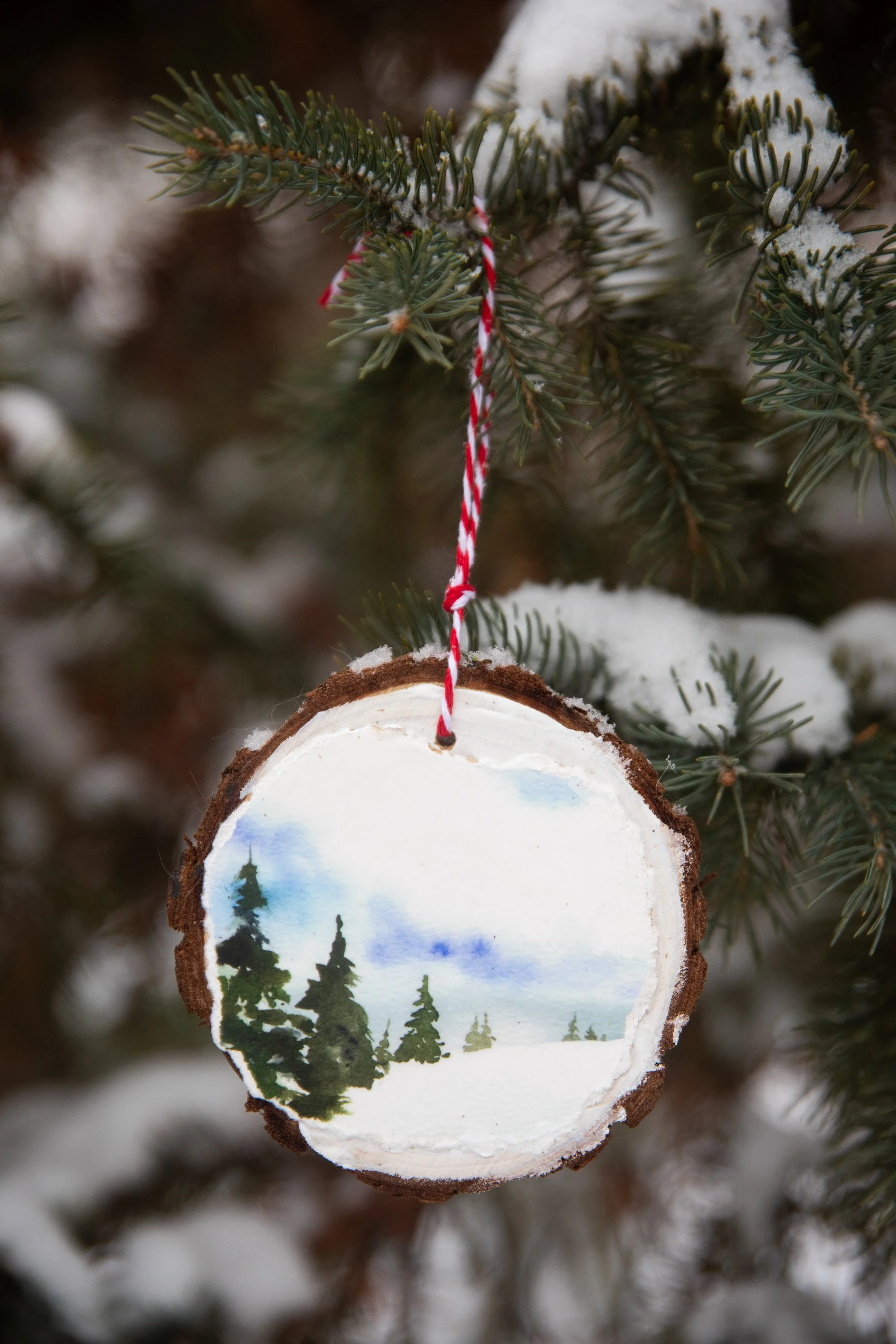 Snowscape With Pines