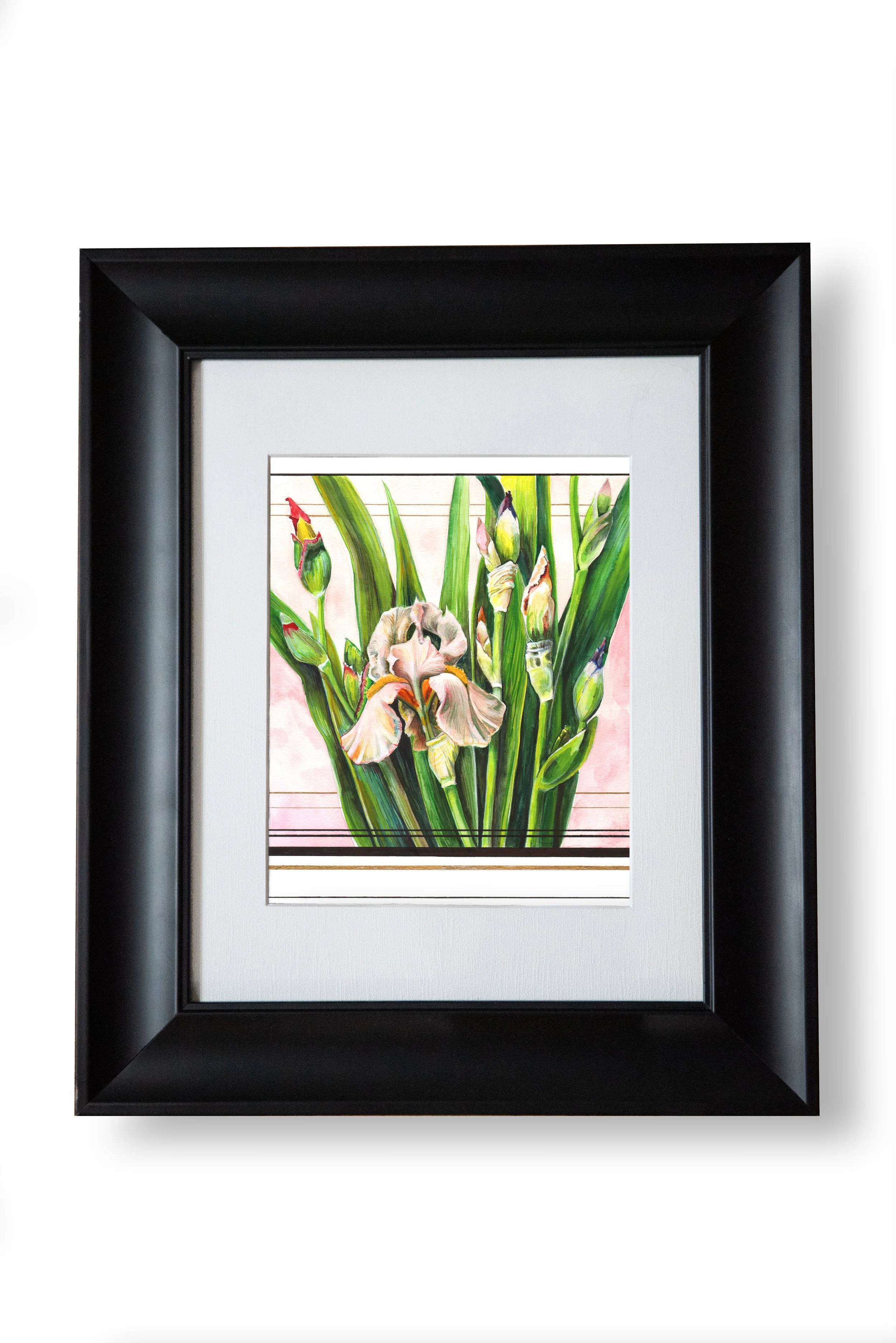 BLACKFRAMEOrigIrisGroup copy.jpg