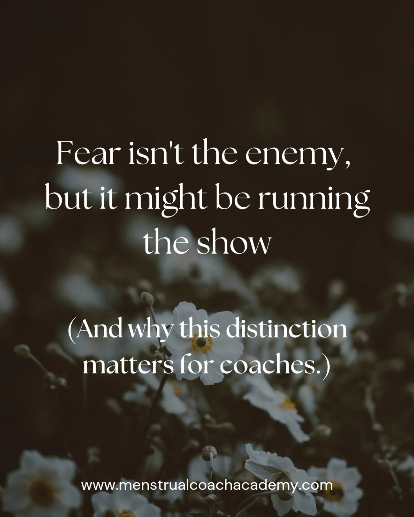 Is fear running your sessions?

Many people come to menstrual cycle healing work stuck in activation and fear. 

Not because something is wrong with them, but because years of unaddressed or dismissed pain has created a negative feedback loop in thei