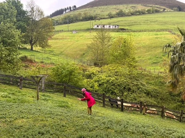 What the Basque Country taught me about community