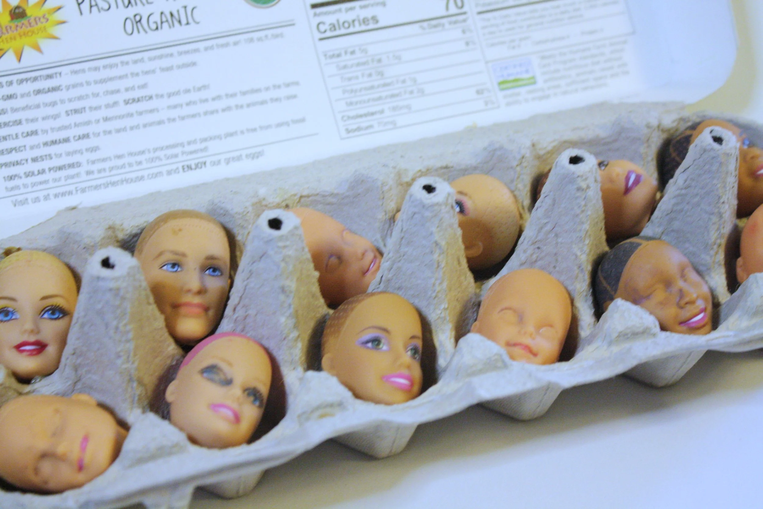 Non-GMO (detail) 

B. Standley 
2020 
Multimedia 