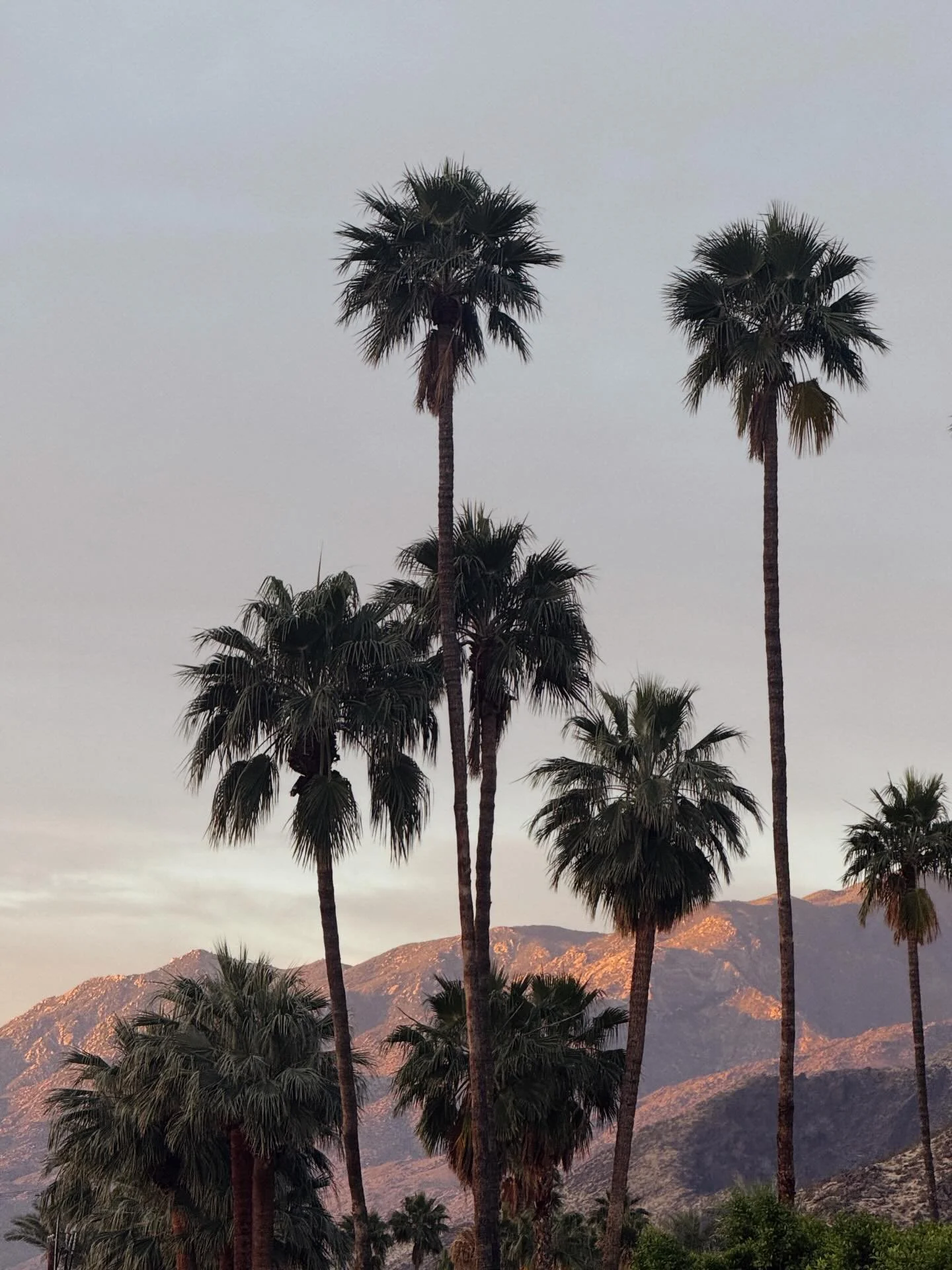 Palm Springs being beautiful.