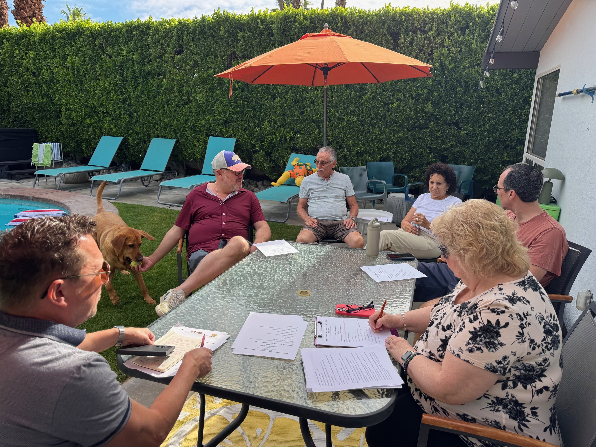 Group of people meeting around table outside by a pool with a dog playing.