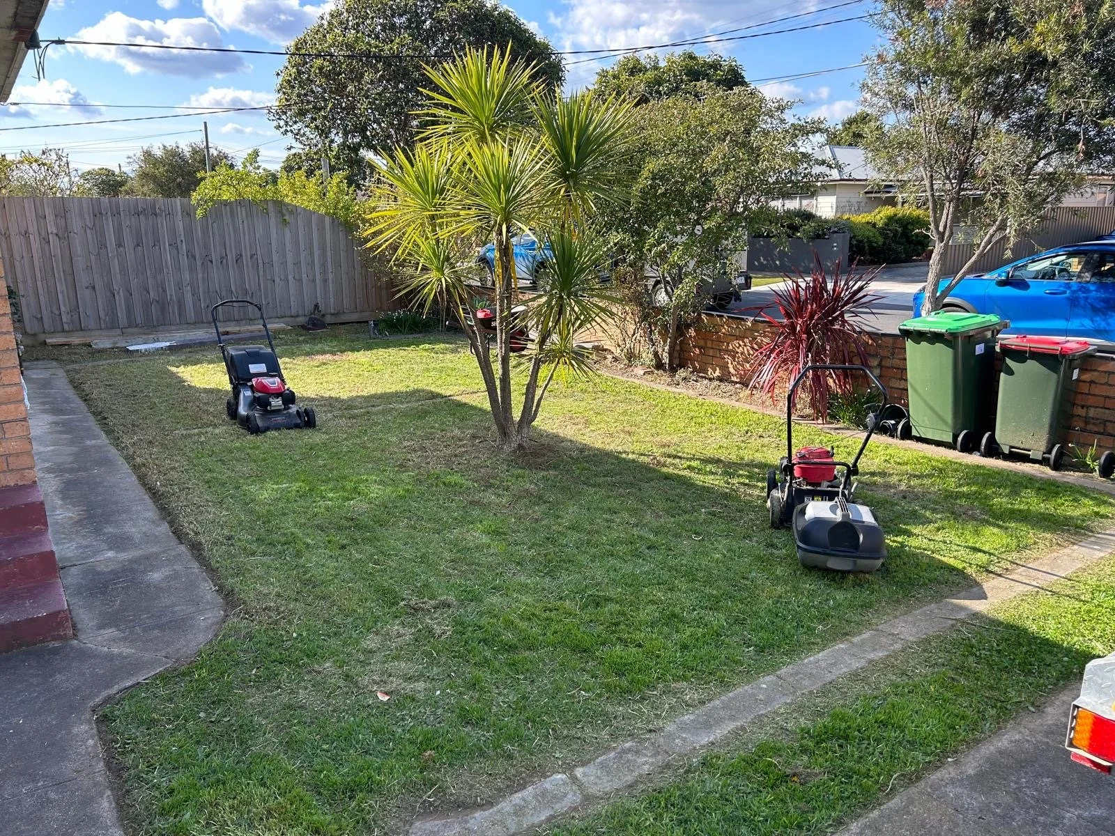 Residential front yard with a small tree in the center, two lawnmowers grass, and two waste bins on the right, with a fence in the background, parked cars, and a clear blue sky.