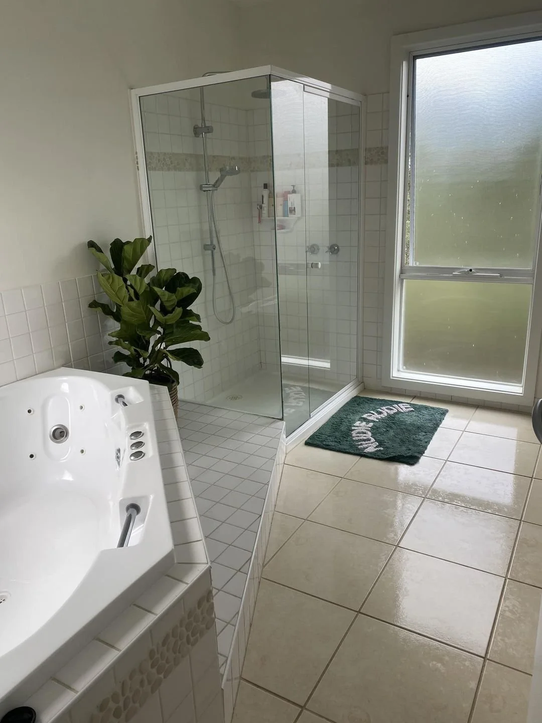 Bathroom with a glass shower enclosure, a Jacuzzi tub, a green 'Relax' bath mat, a potted plant, and a window.