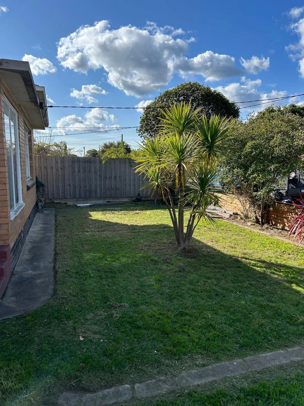 A backyard garden with a small tree in the center, surrounded by grass, a wooden fence in the background, and a partly cloudy sky overhead.