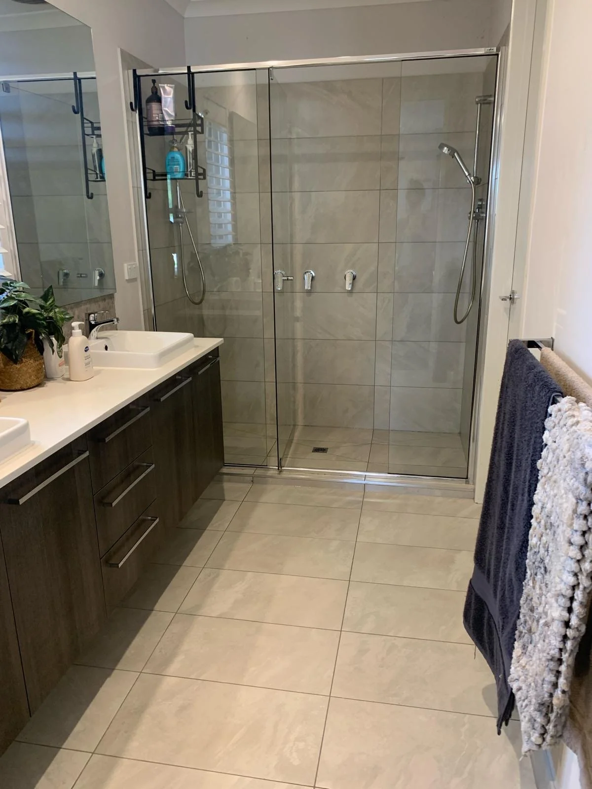 Modern bathroom with a glass shower enclosure, a vanity with a white sink, a decorative plant, and towels hanging on a towel rack.