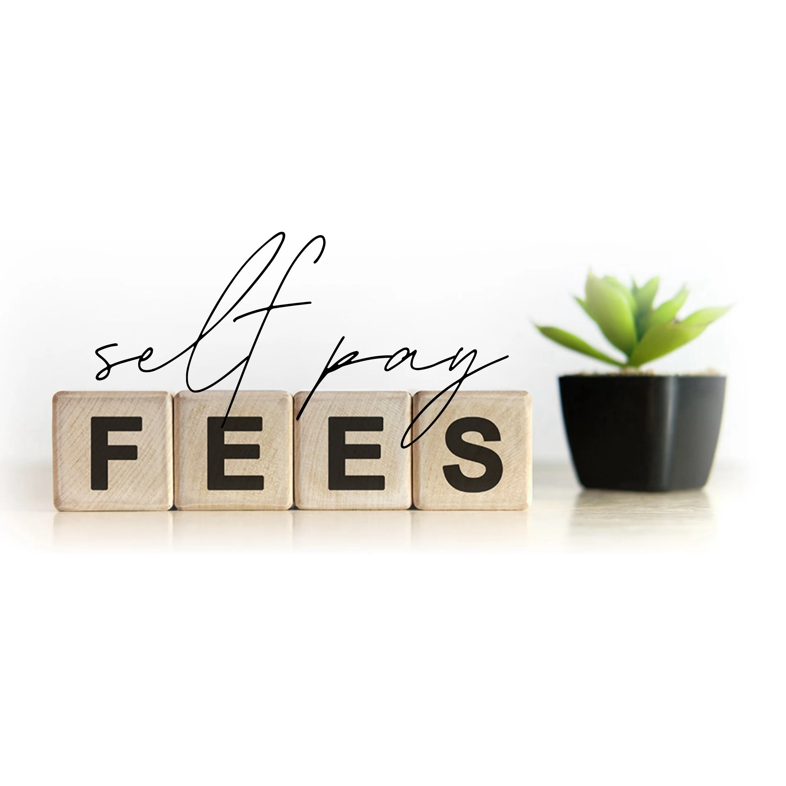 Blocks spelling 'FEES' with 'self pay' overlay and a small plant in a black pot.