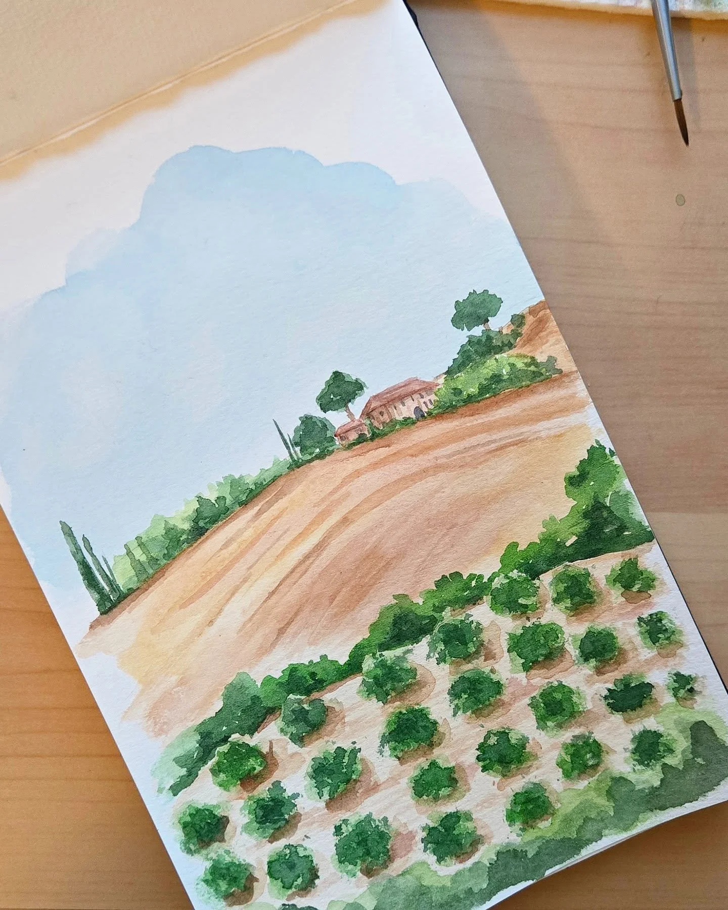 Watercolor landscape practice 

#nc #watercolor #raleigh #landscapeart #italy #landscape #art #painting #practicemakesperfect
