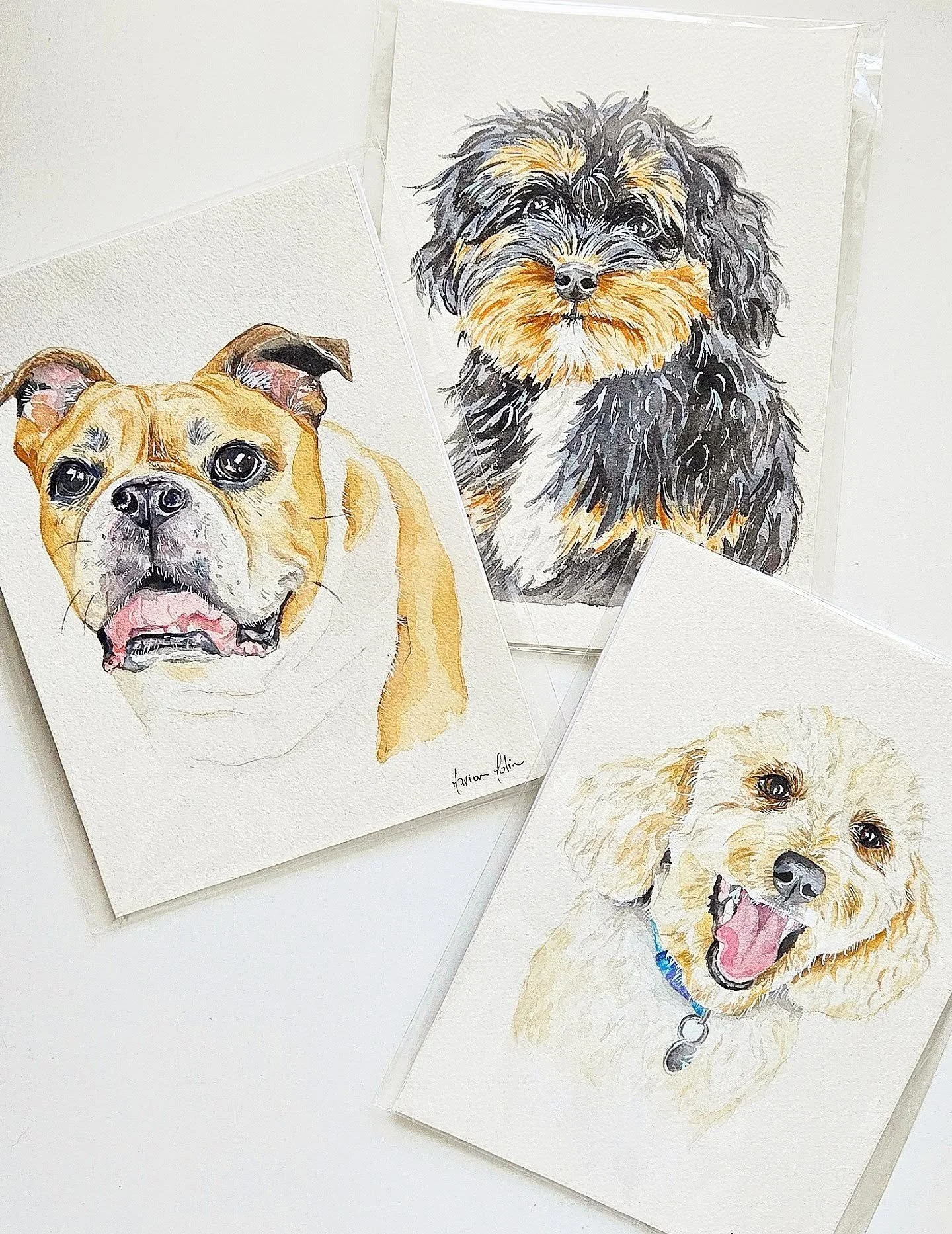 Wrapped up and ready to go! Loved painting these beautiful dogs for Christmas commissions. 🎁🎄