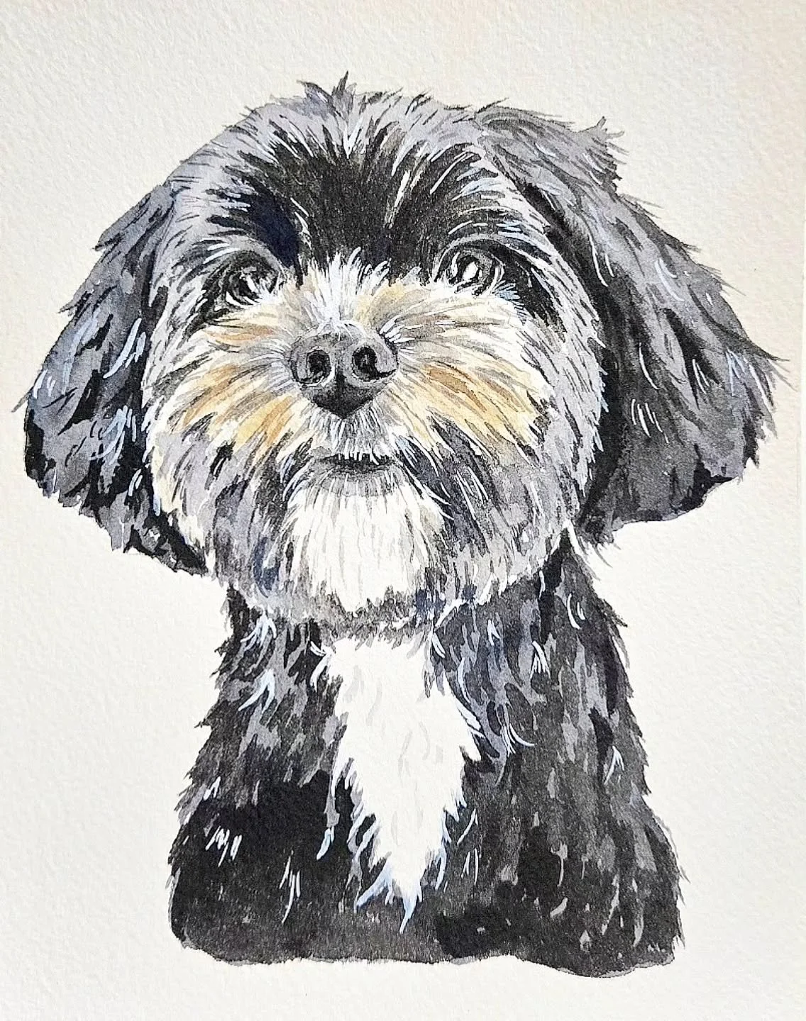 Cutie! 🥰🎁

#watercolor #petportrait #doglover