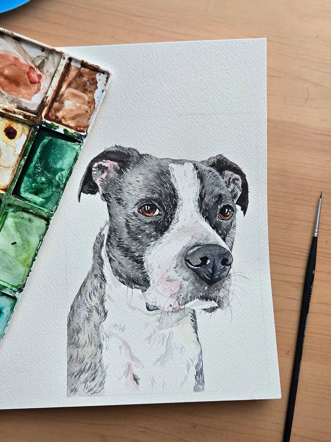 Merry &amp; Bright Eyes. ✨

#watercolor #petportrait #nc #doglover #art
