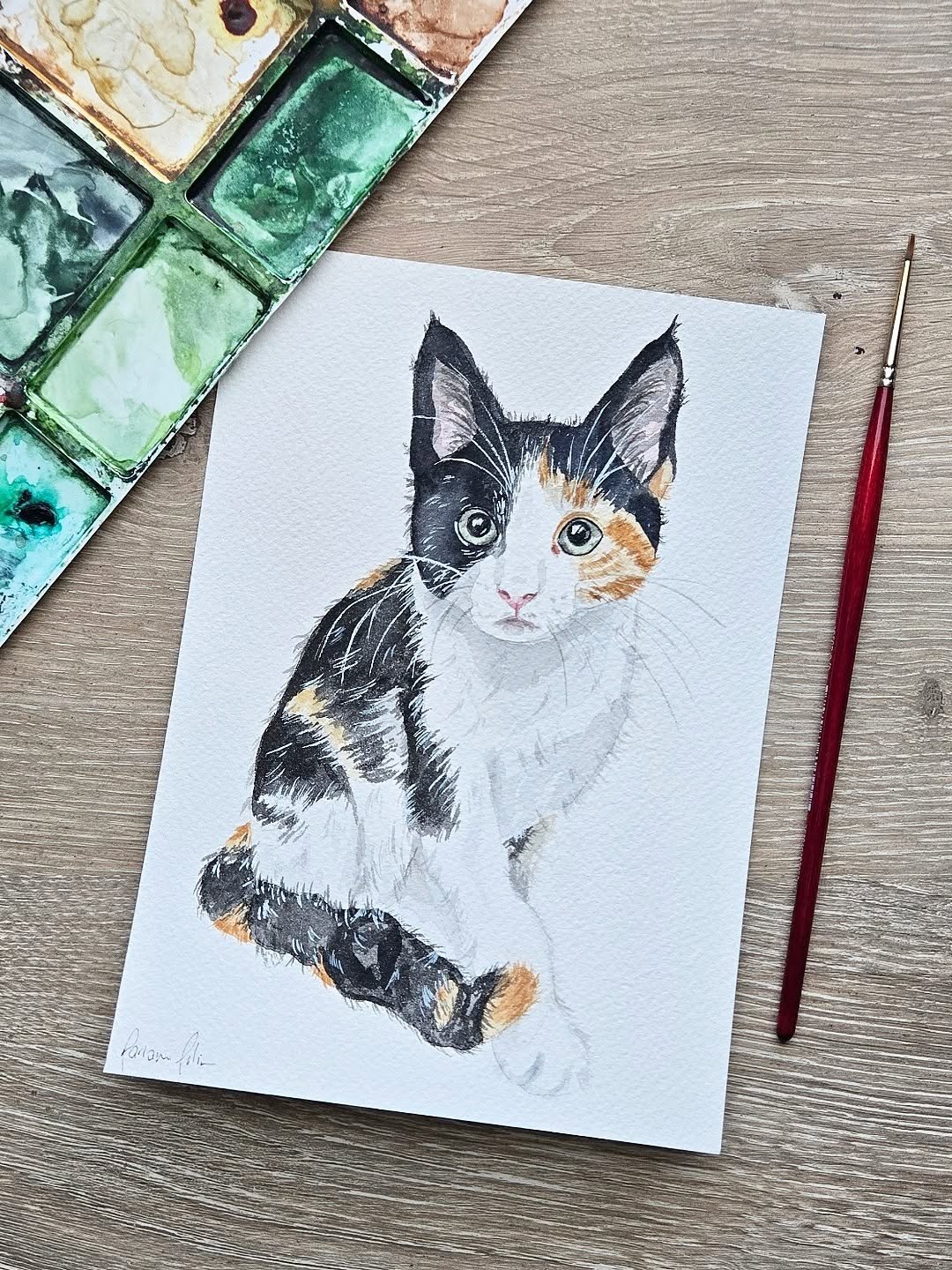 Nothing beats a quiet Saturday painting session. One of the last commissions of 2025.

#watercolorpetportraits #catsportrait #nc #raleigh #catlover