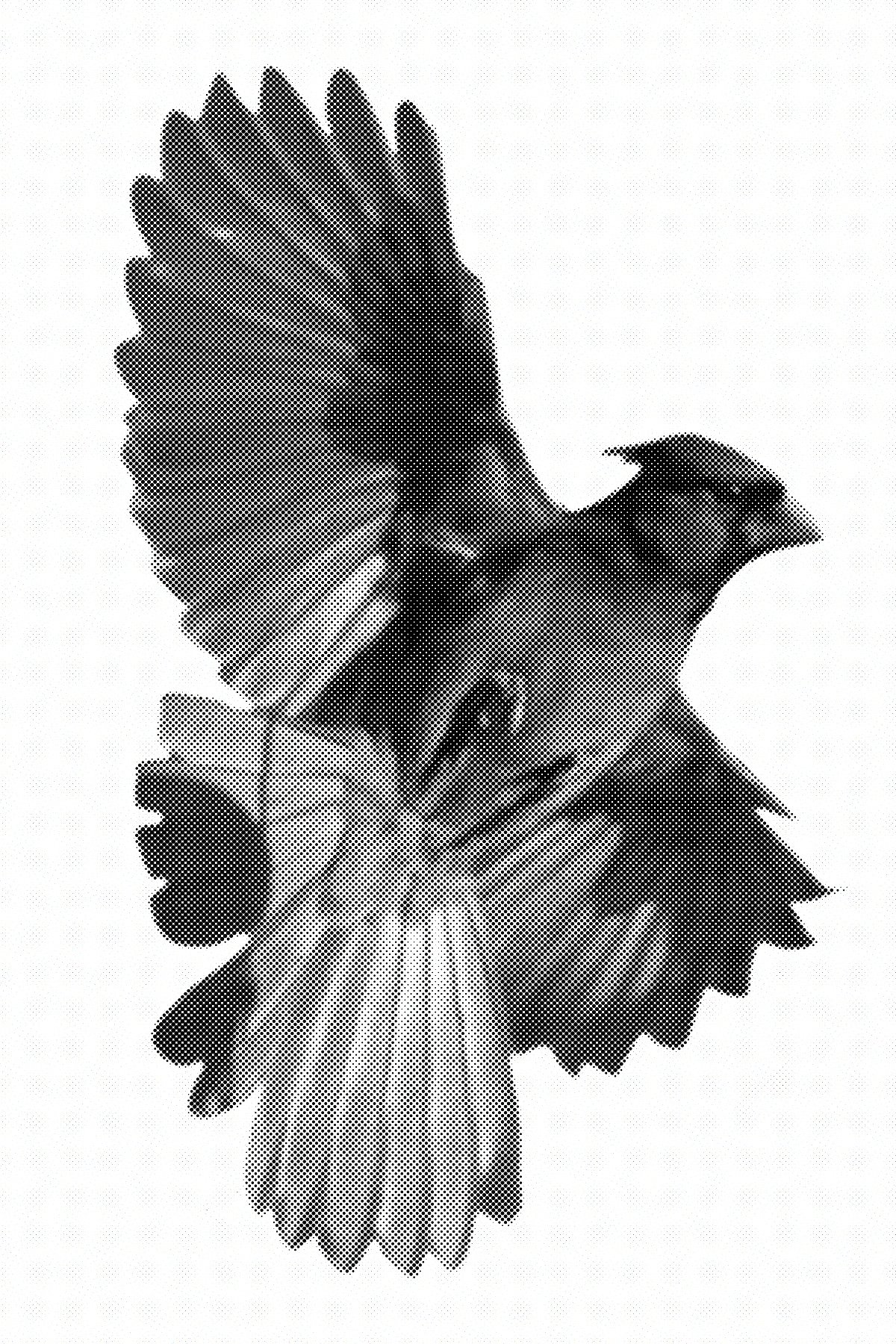 Untitled_Artwork 2 1.jpg