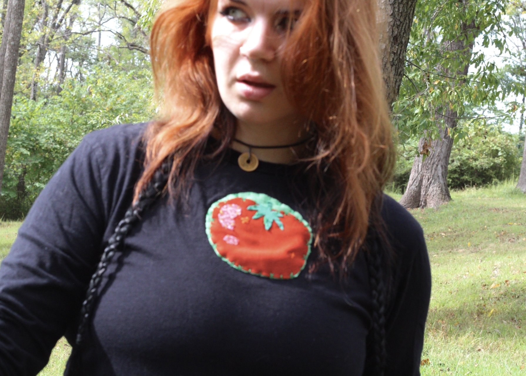tomato 4.JPG