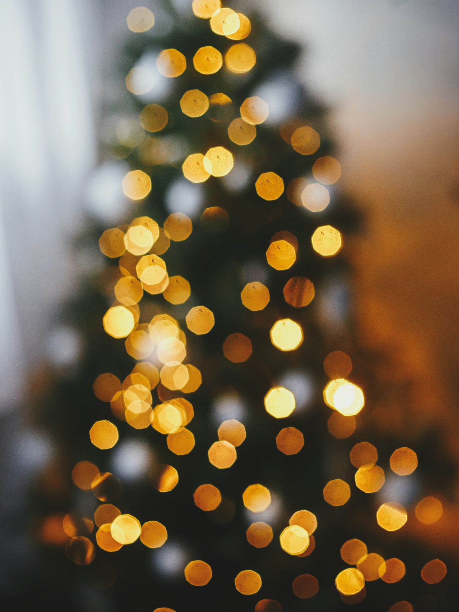050. Celebrate Christmas with us