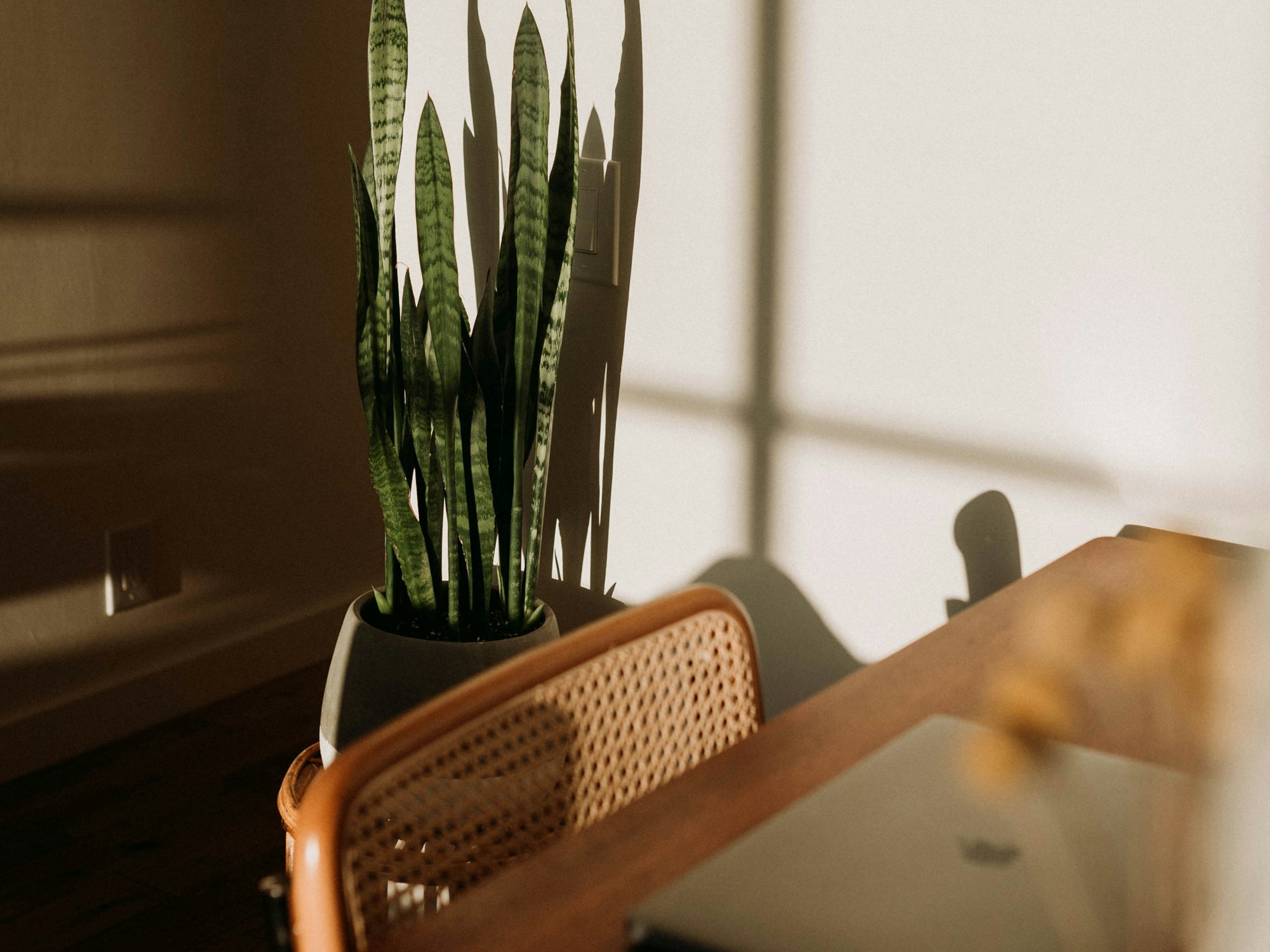 Connect with us—Cornerstone Anglican Church Box Hill