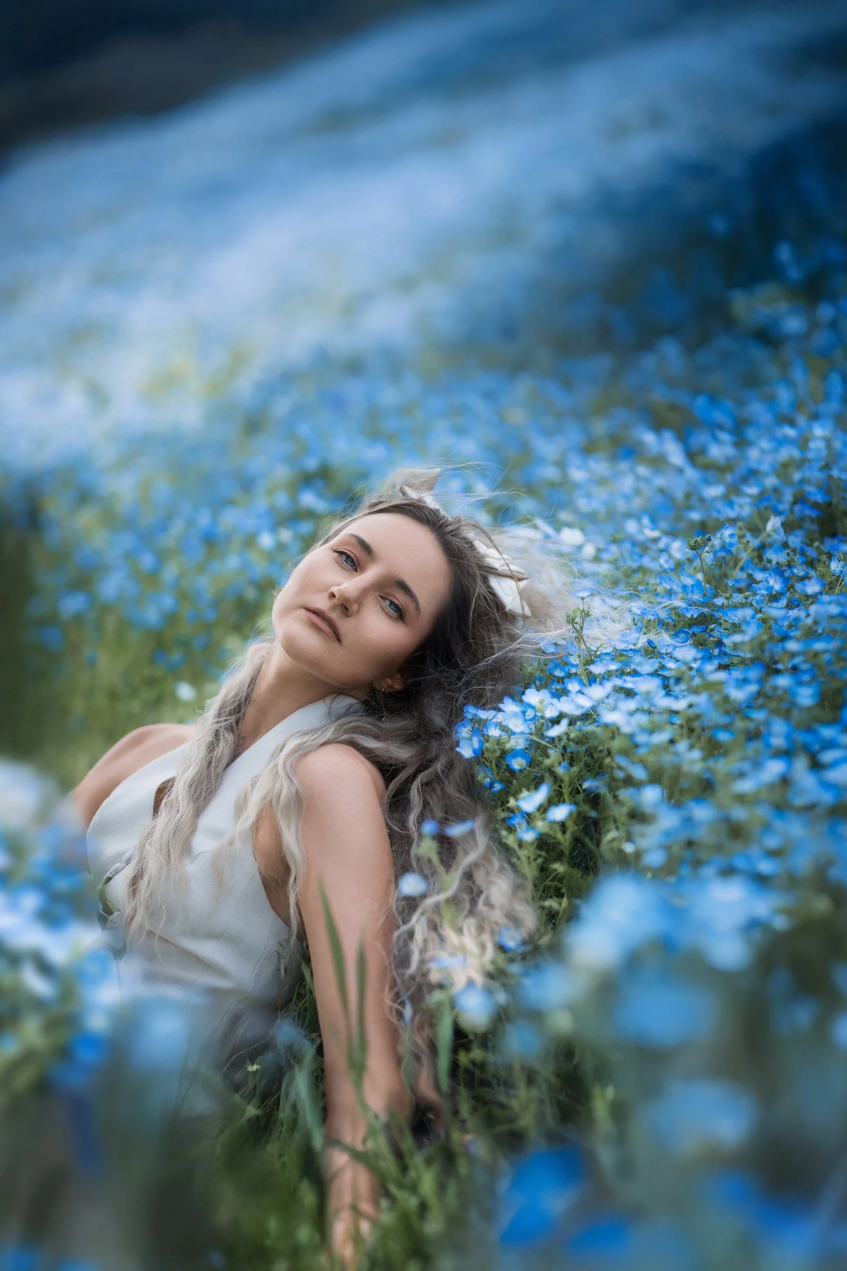 Nemophillas Fukuoka.JPG