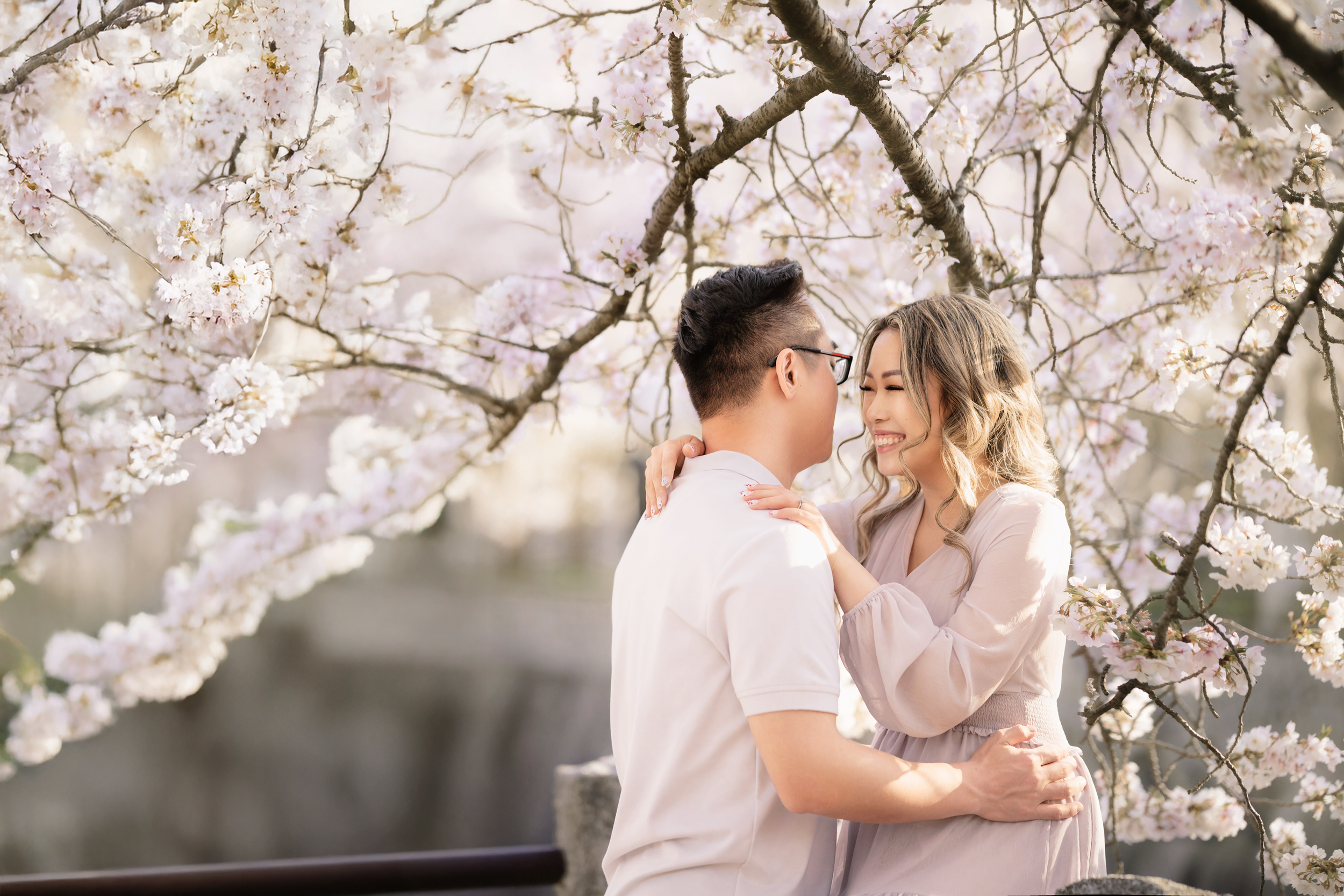 Sakura photoshoot fukuoka 5.png