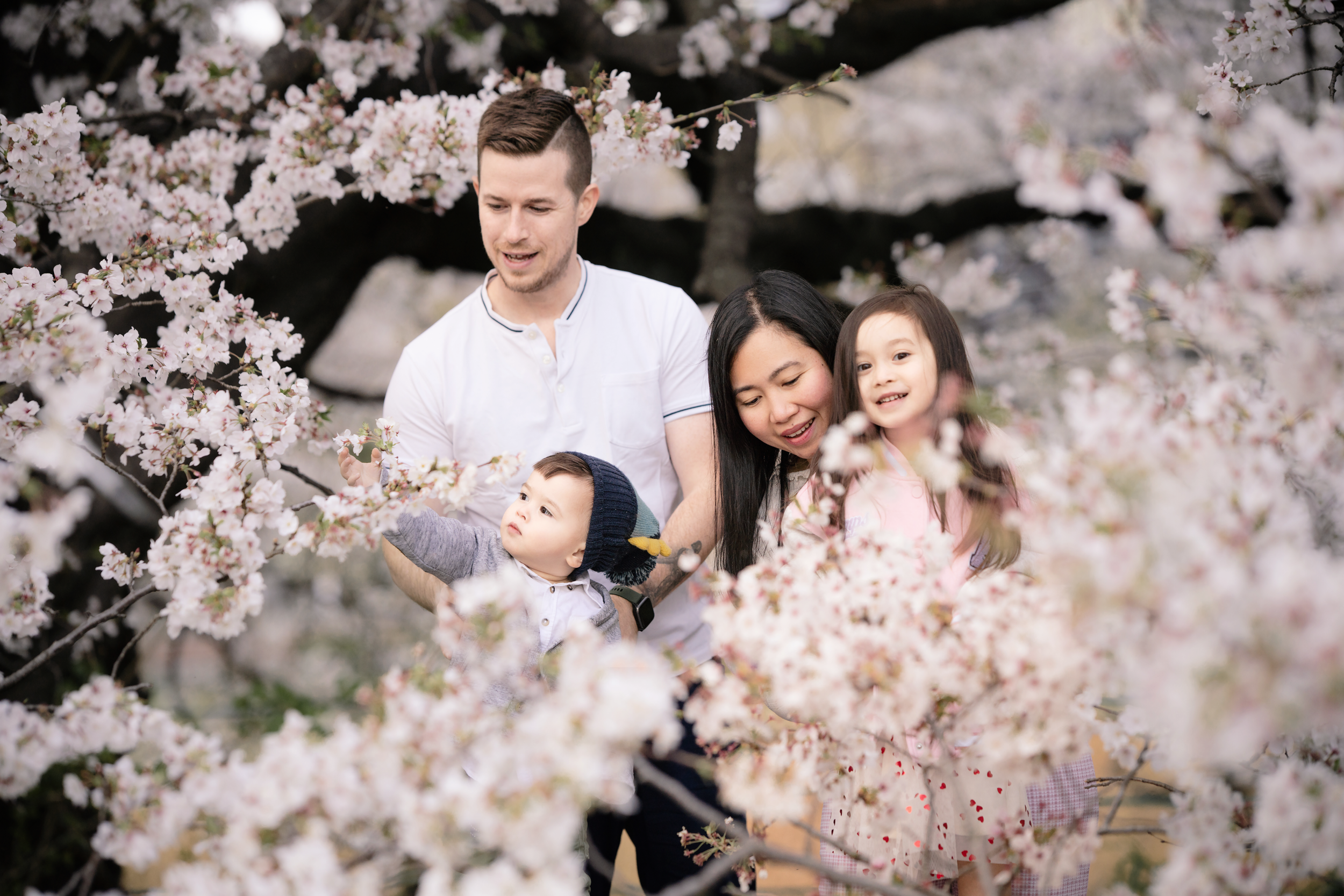 Sakura photoshoot fukuoka 10.png