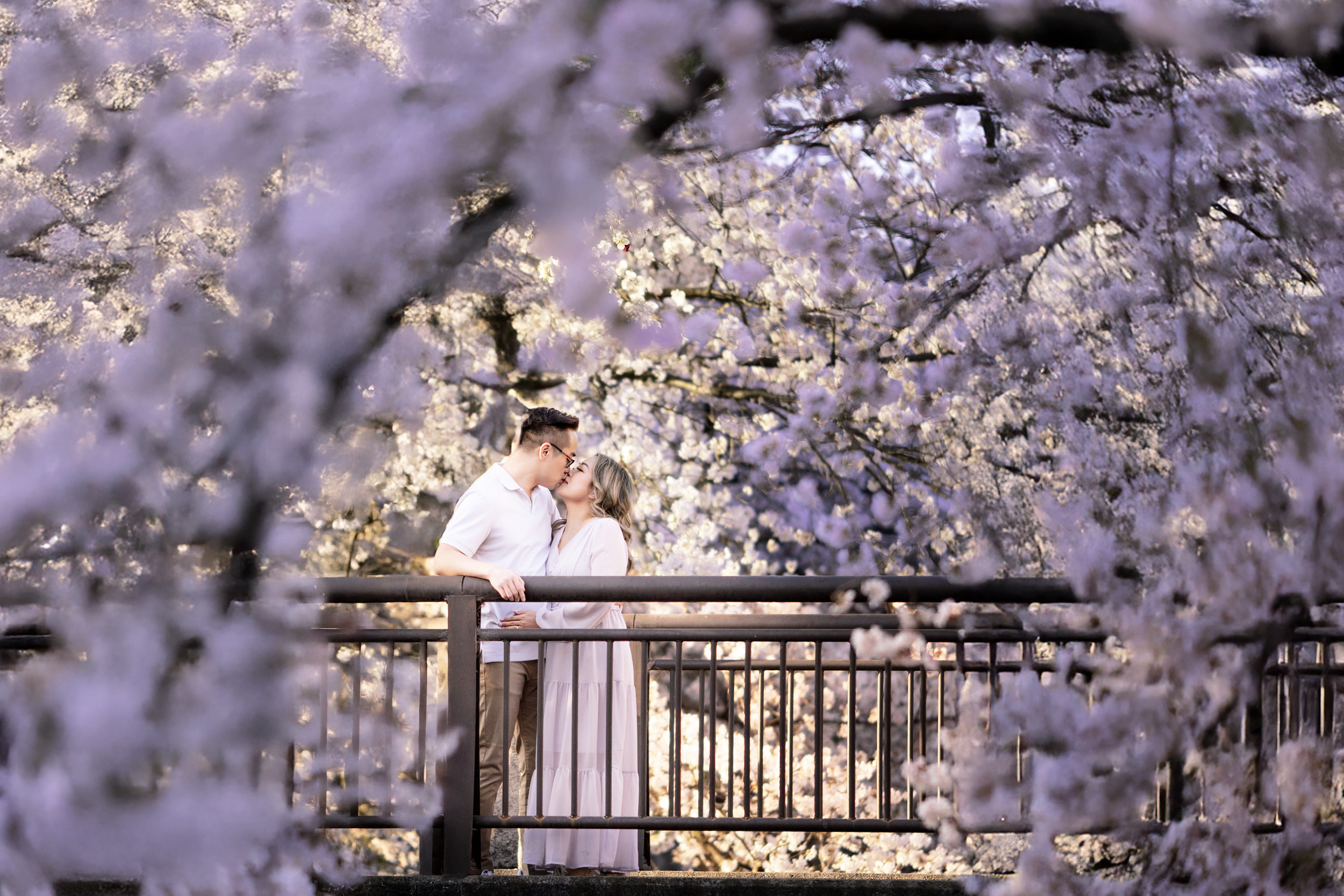 Sakura photoshoot fukuoka 6.png
