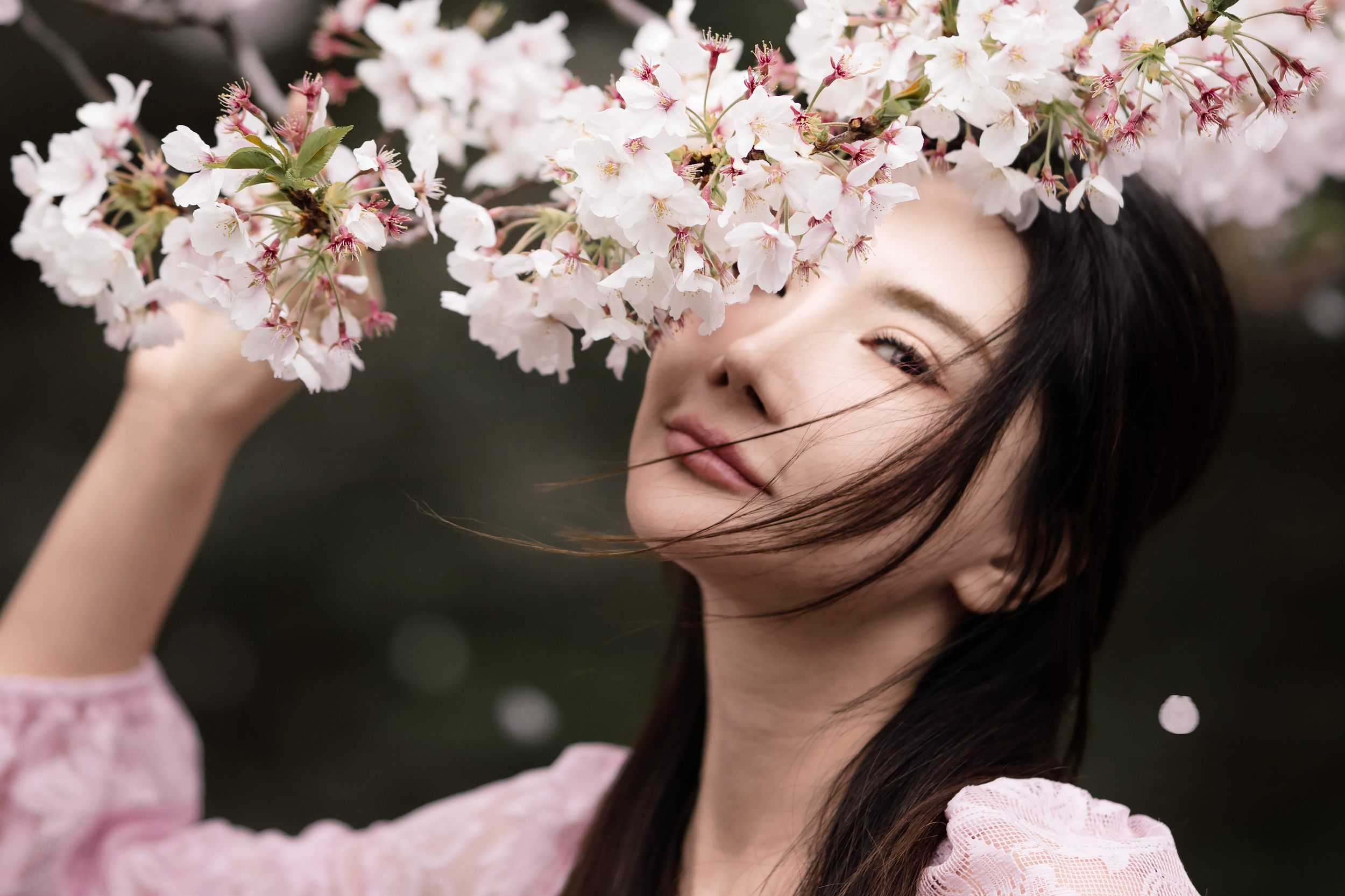 Sakura Photo shooting Fukuoka