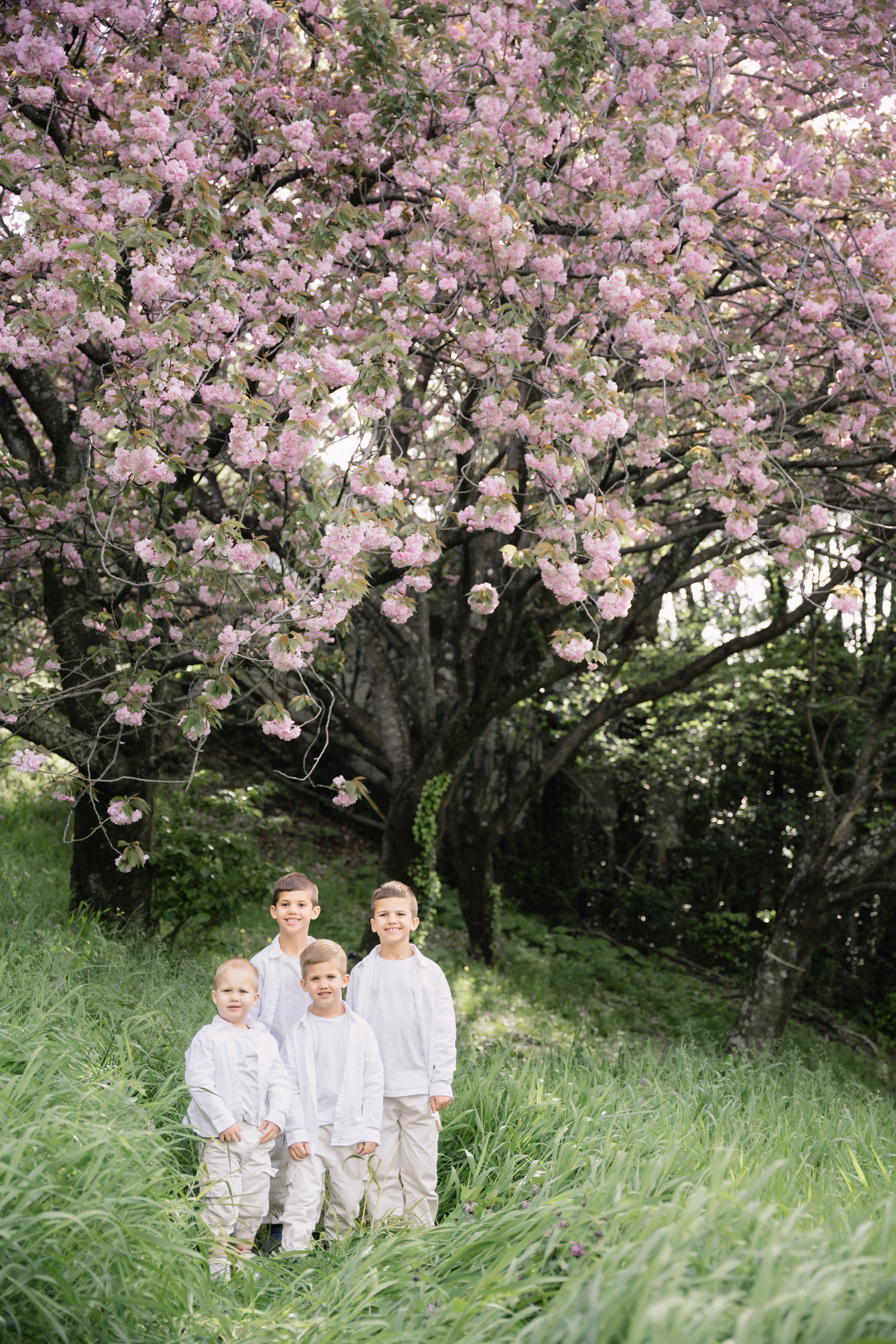 Sakura phototshoot fukuoka 18.png