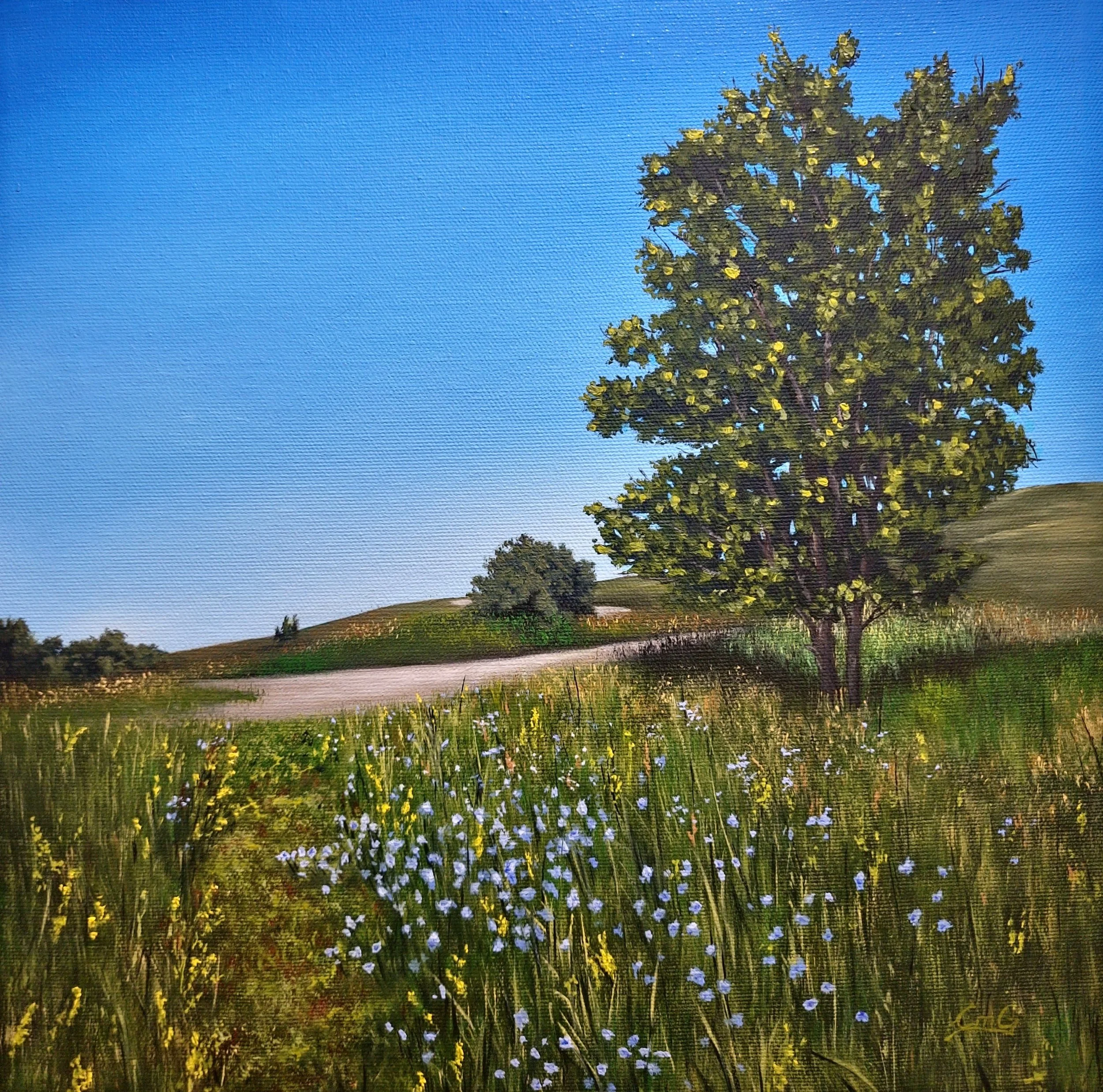 Christina+Gouldsborough_Where+we+Wonder_12x12_oil+on+canvas.jpg