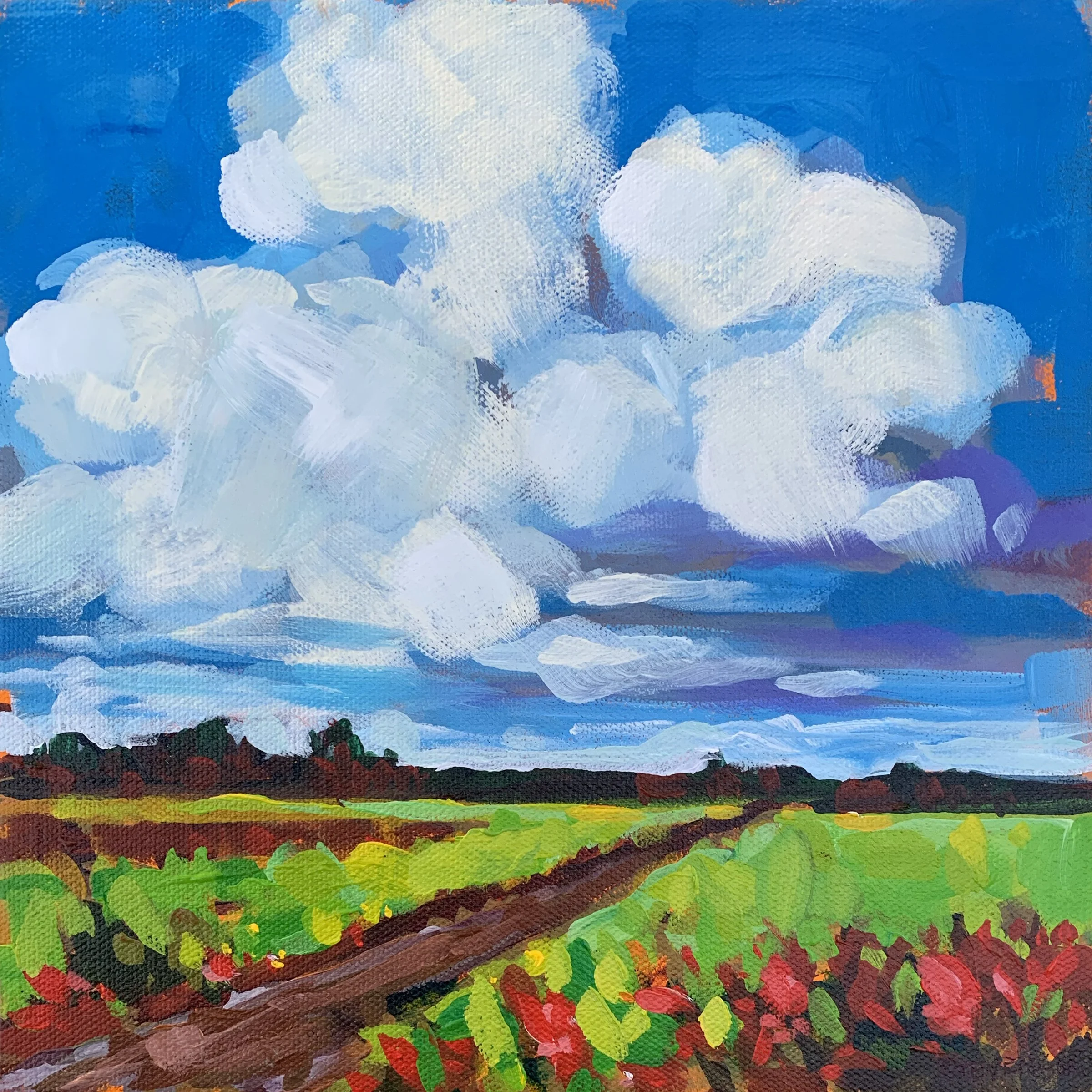 Prairie Fields | 10x10" Acrylic on Gallery Depth Canvas by Catherine Hockenhull