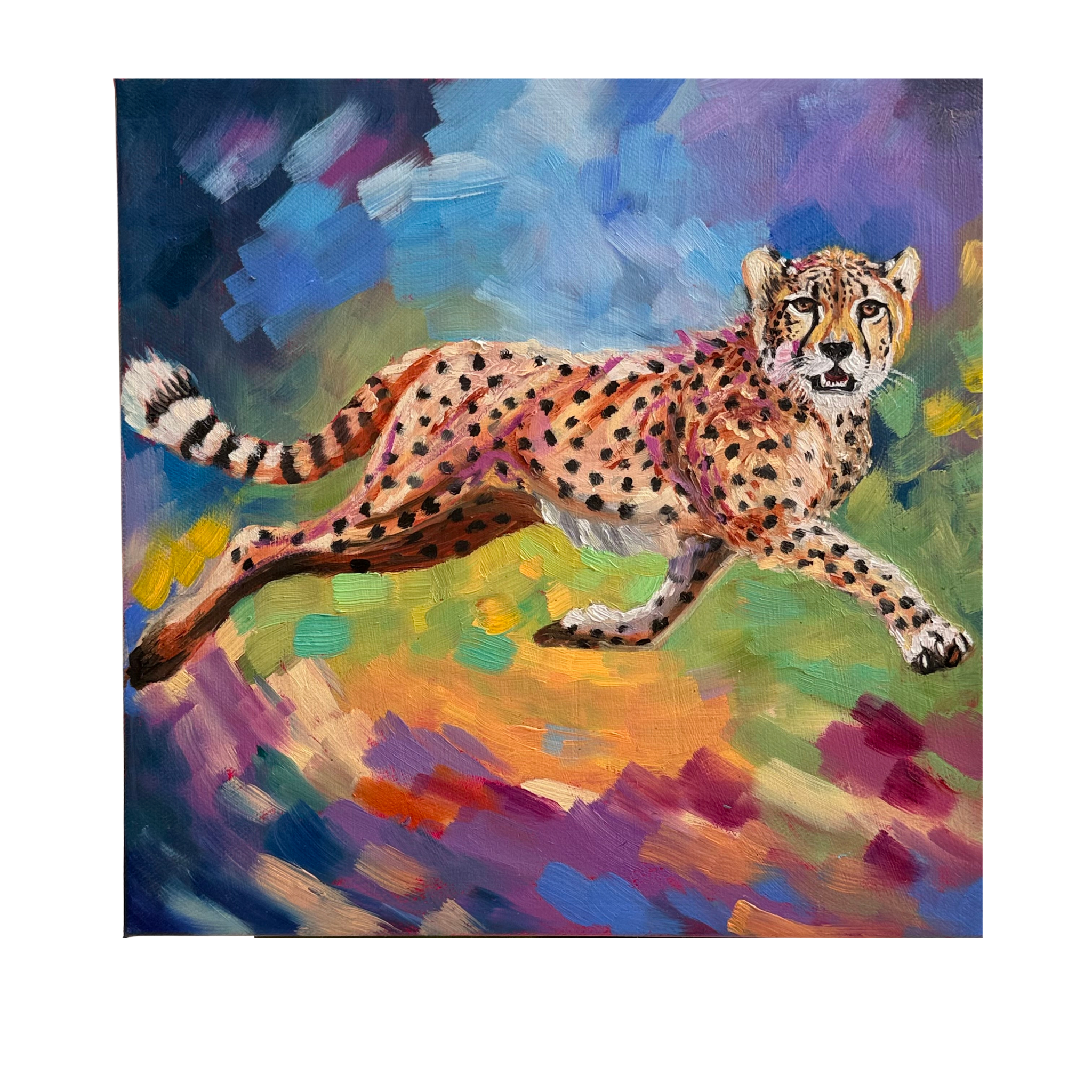 Chasing Light. | 10x10" Oil on Canvas by Archana Mathur