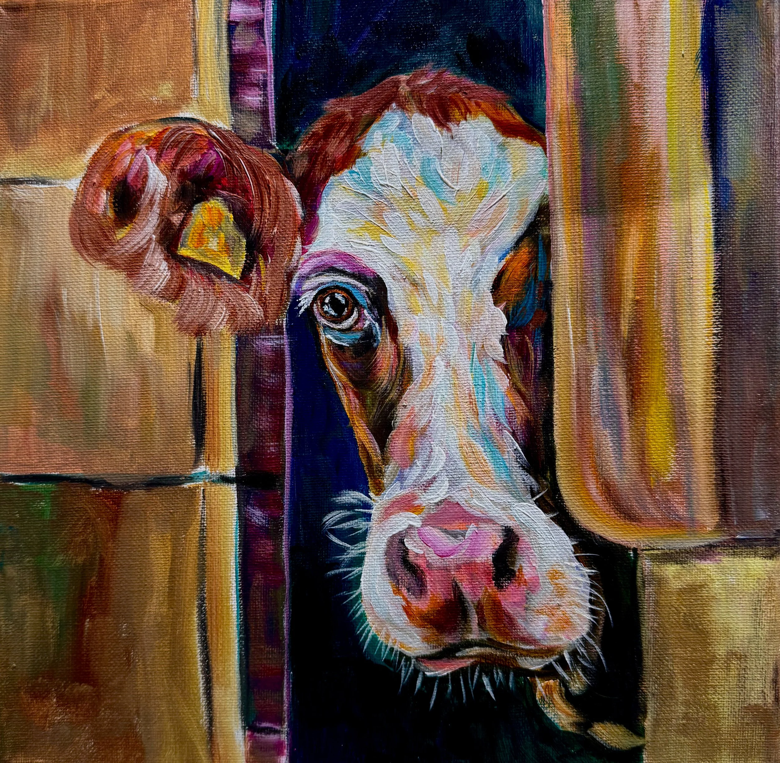 Peek-a-Moo  | 10x10" Acrylic on Gallery Depth Canvas by Charlene Kolesnik