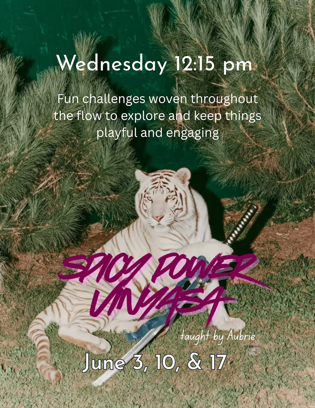 Spicy Power Vinyasa with Aubrie - Wednesday June 3rd, 10th, and 17th at 12:15pm