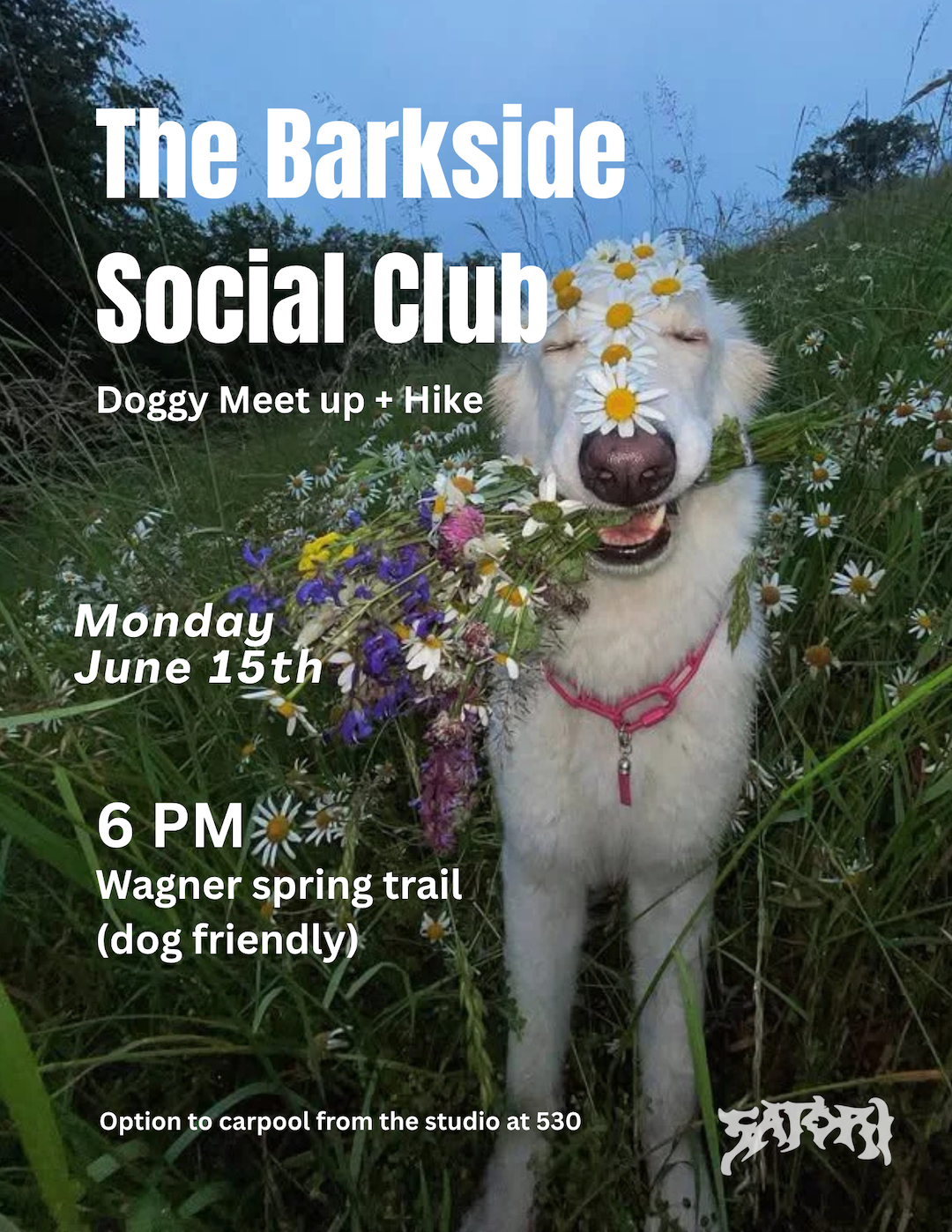 The Barkside Social Club Doggy Meet-up and Hike - Monday June 15th 6pm - Wagner Spring Trail