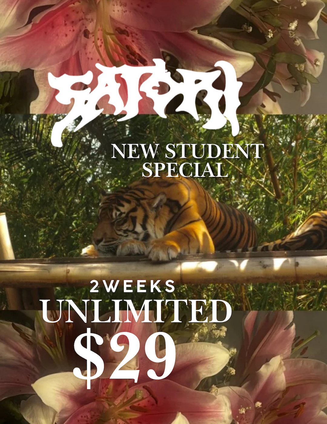 New Student Special - 2 weeks unlimited for $29