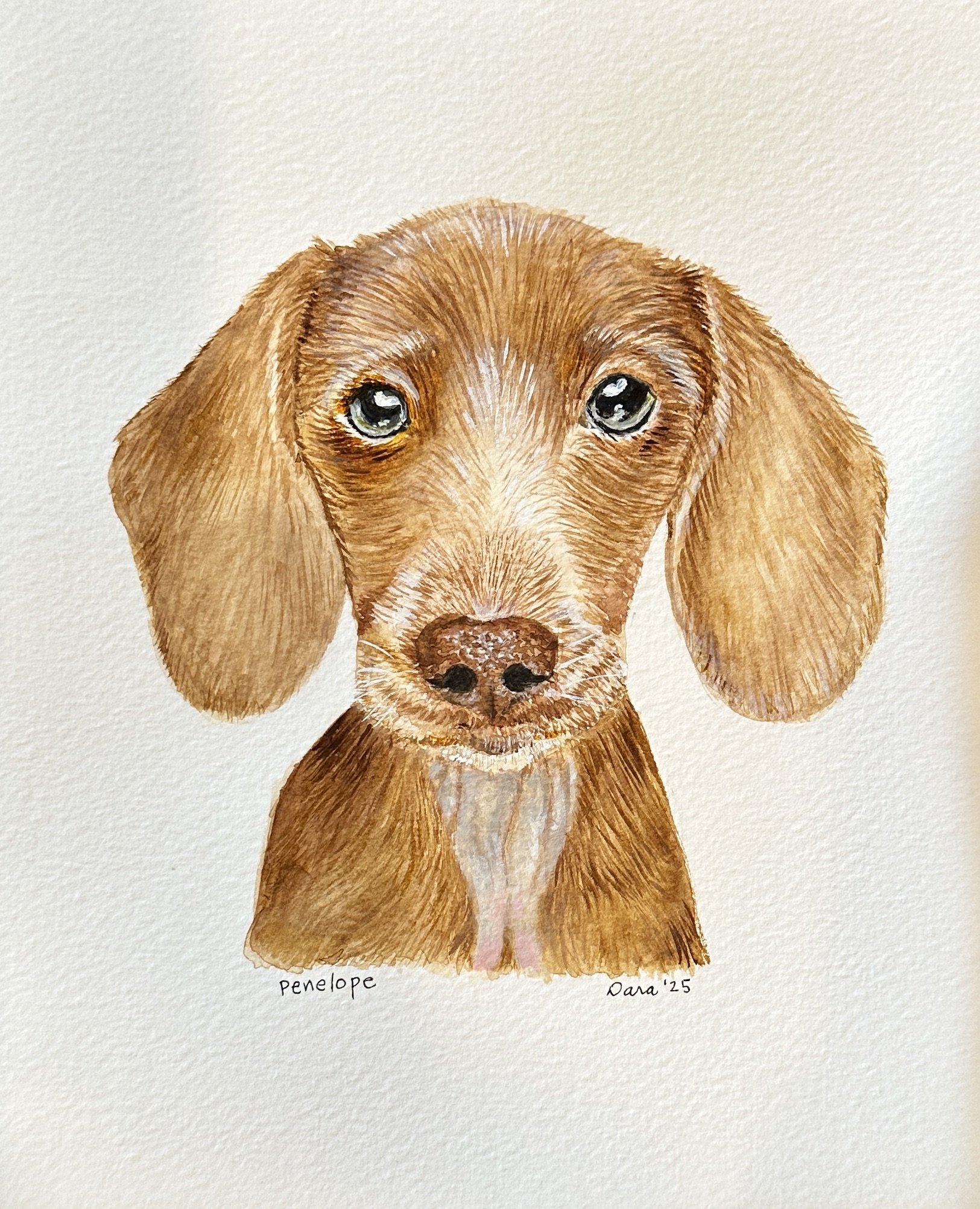 Watercolor Pet Portraits