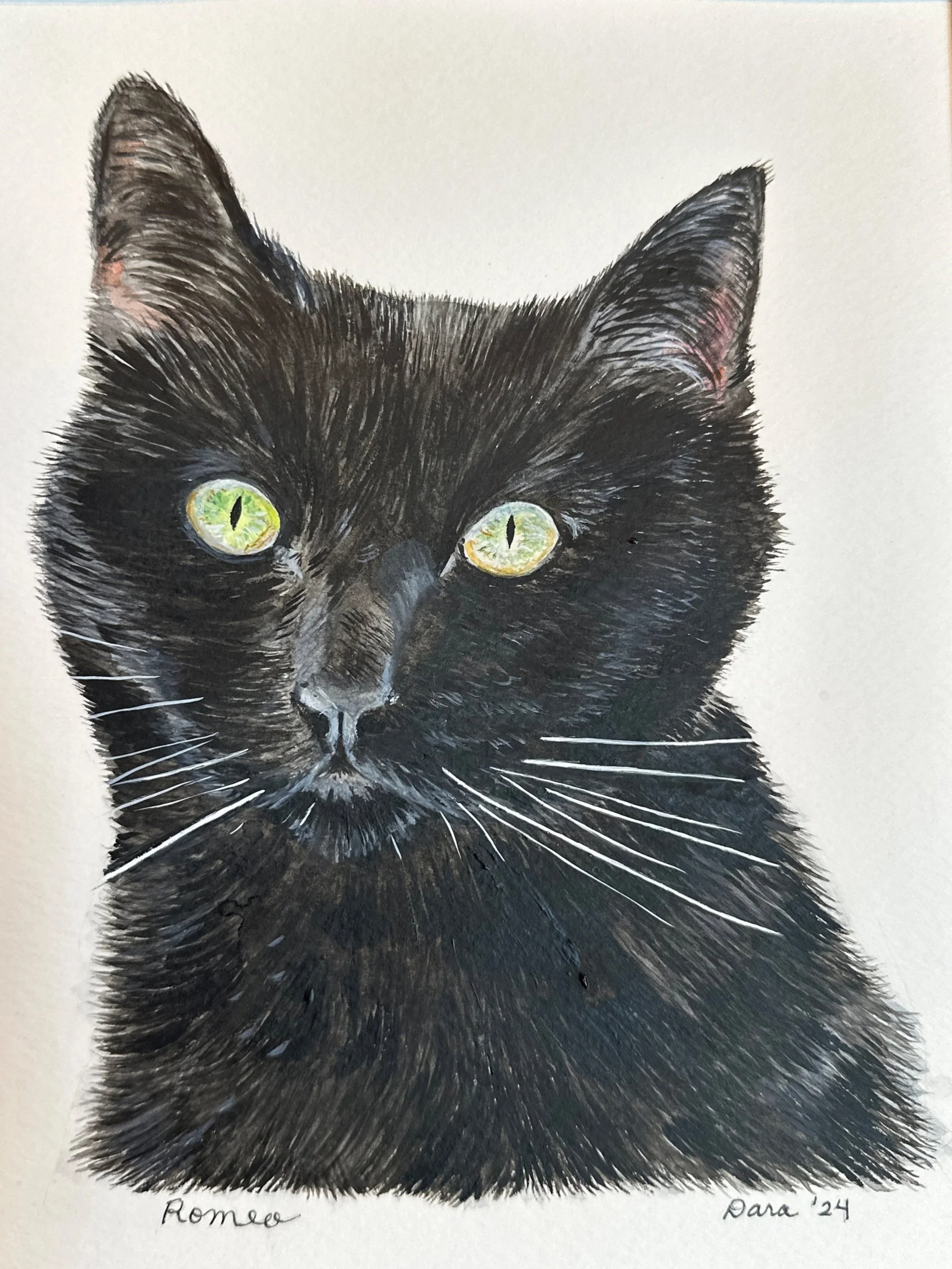 Watercolor Pet Portraits