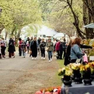 Great news! My gear shifter parts have finally arrived! 🚚 Who knew three little parts could hold up the whole show? I&rsquo;ve missed the start of the ski season, but I did the right thing by ordering new parts instead of old ones. Safety first! I w