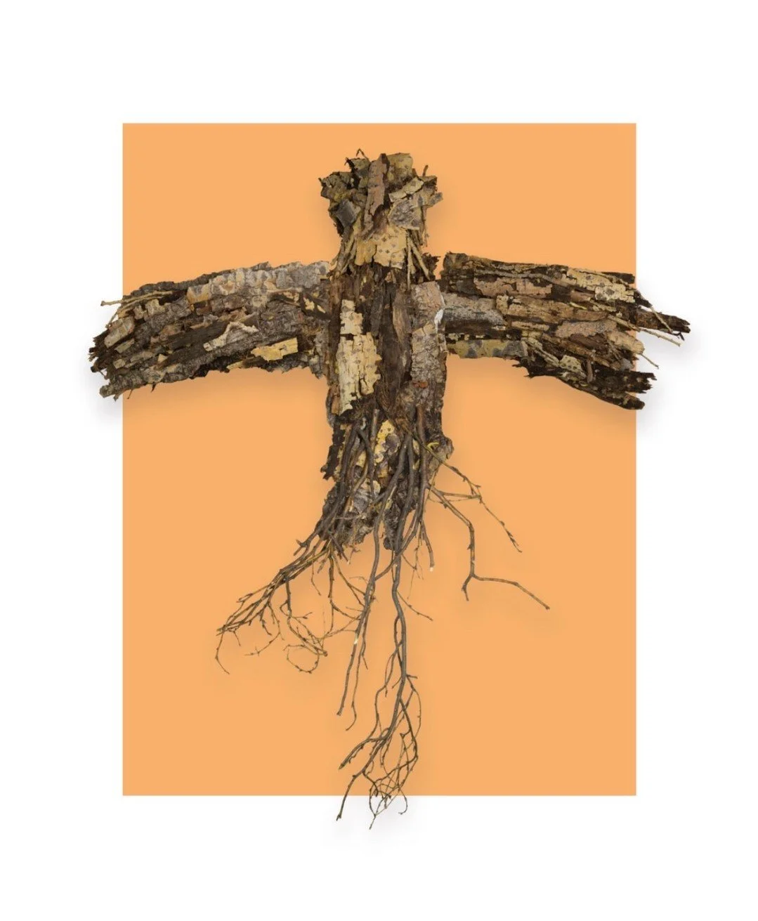 Dave Lanza &amp; Jenn Seniuk⁠
My Angel (2025)⁠
Found bark, calking, cardboard, wood glue⁠
5ft x 5ft⁠
⁠
Dave's art is made of bark from places of importance: his tree where he lived, the Monday MFD park, the cemetery where he went to connect with his 