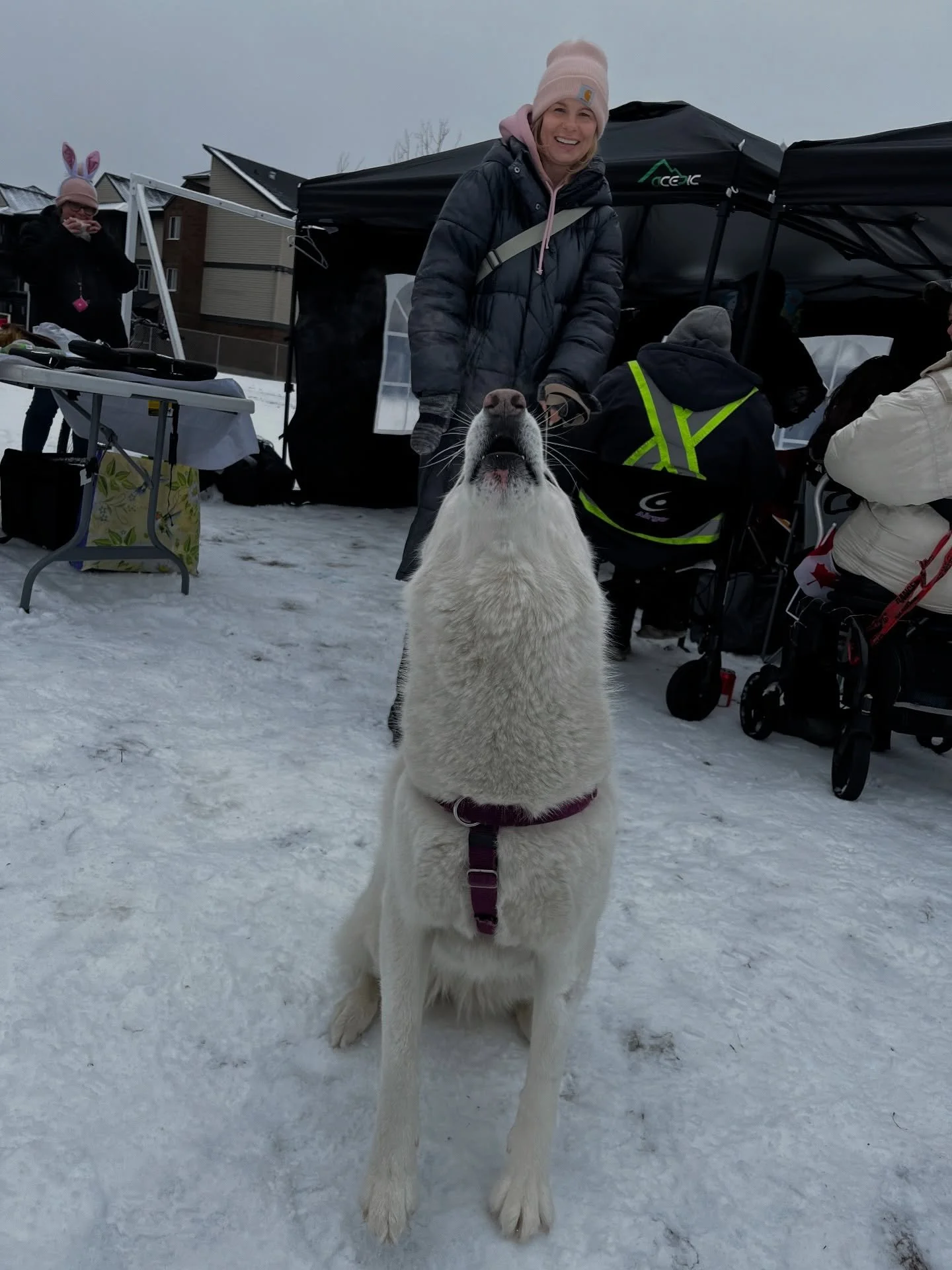 It was a great little Easter gathering today at My Friend Dave!

One of our friends made hardboiled eggs, our girl @annecyy made oatmeal cookies and jello cups and our girl Steph brought her beautiful dog JoJo

We are definitely seeing the impact of 