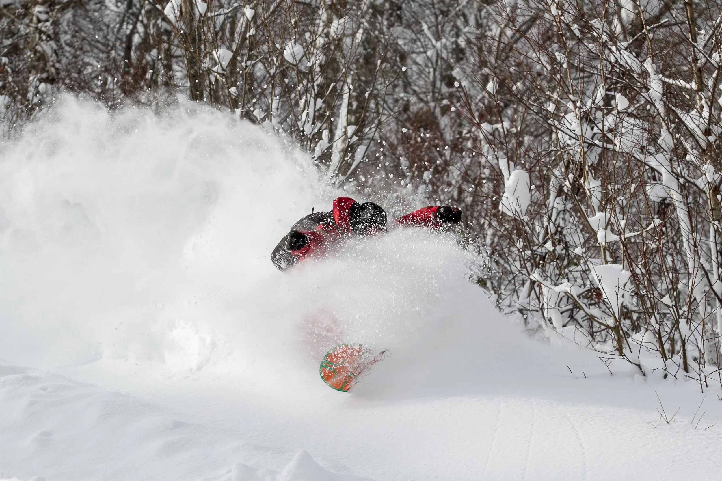 20141215_Niseko_Photography__MG_1568.jpg