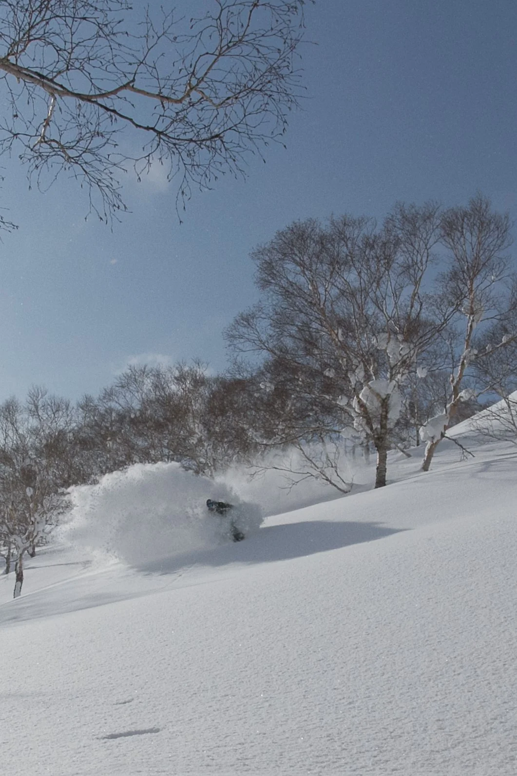 -20140311_Niseko_Photography_MG_6248.jpg