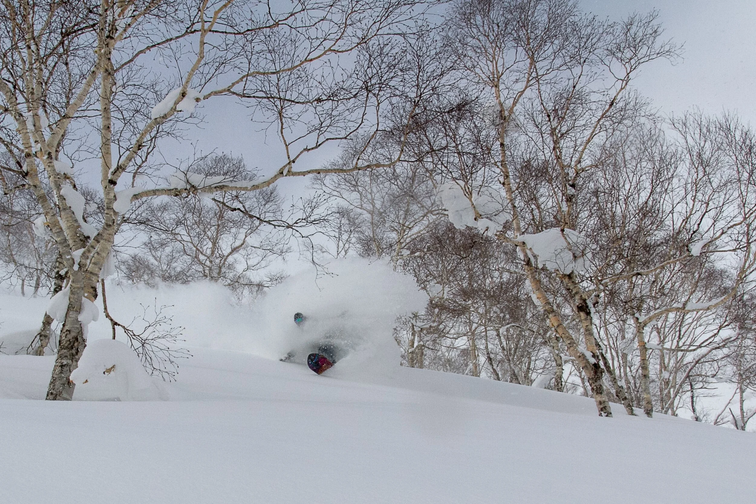 -20140311_Niseko_Photography_MG_6218.jpg