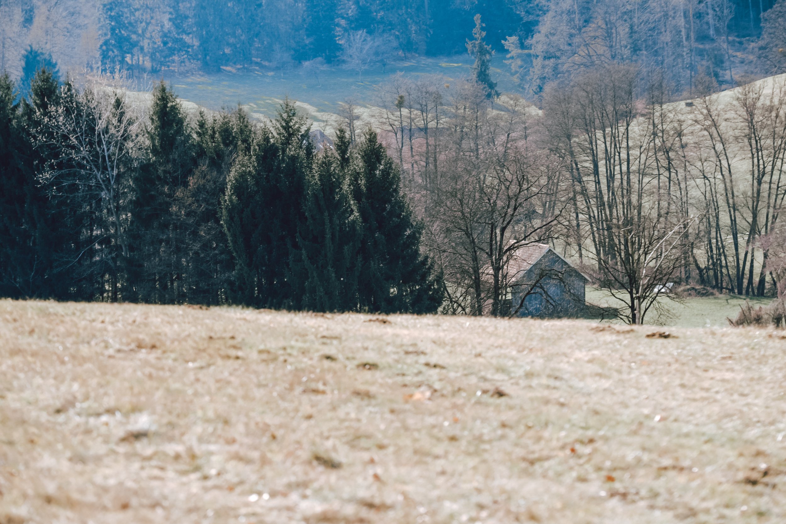 Elsie-Sauer-4688.jpg