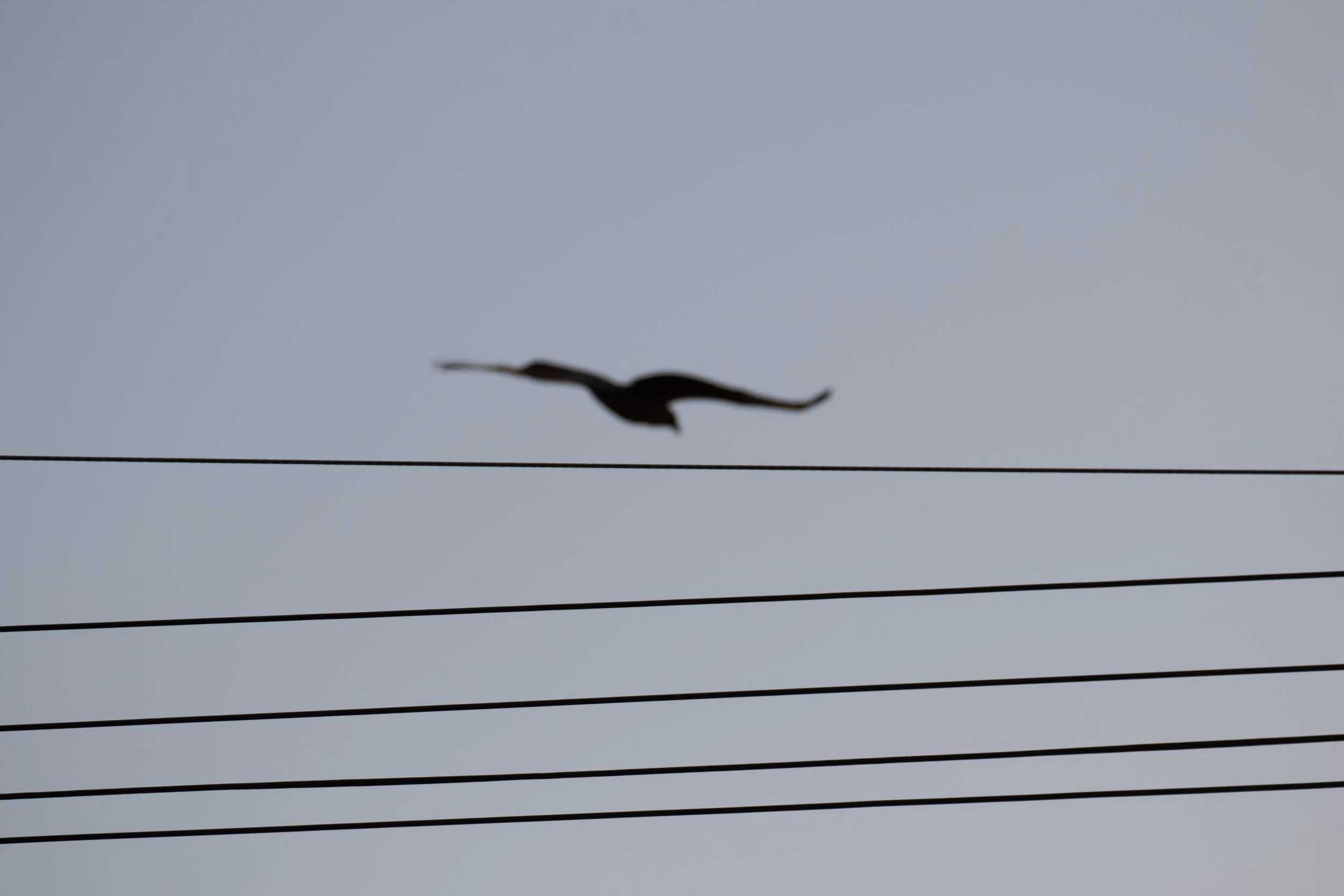 20150517_Niseko_Photography__V0A1212.jpg